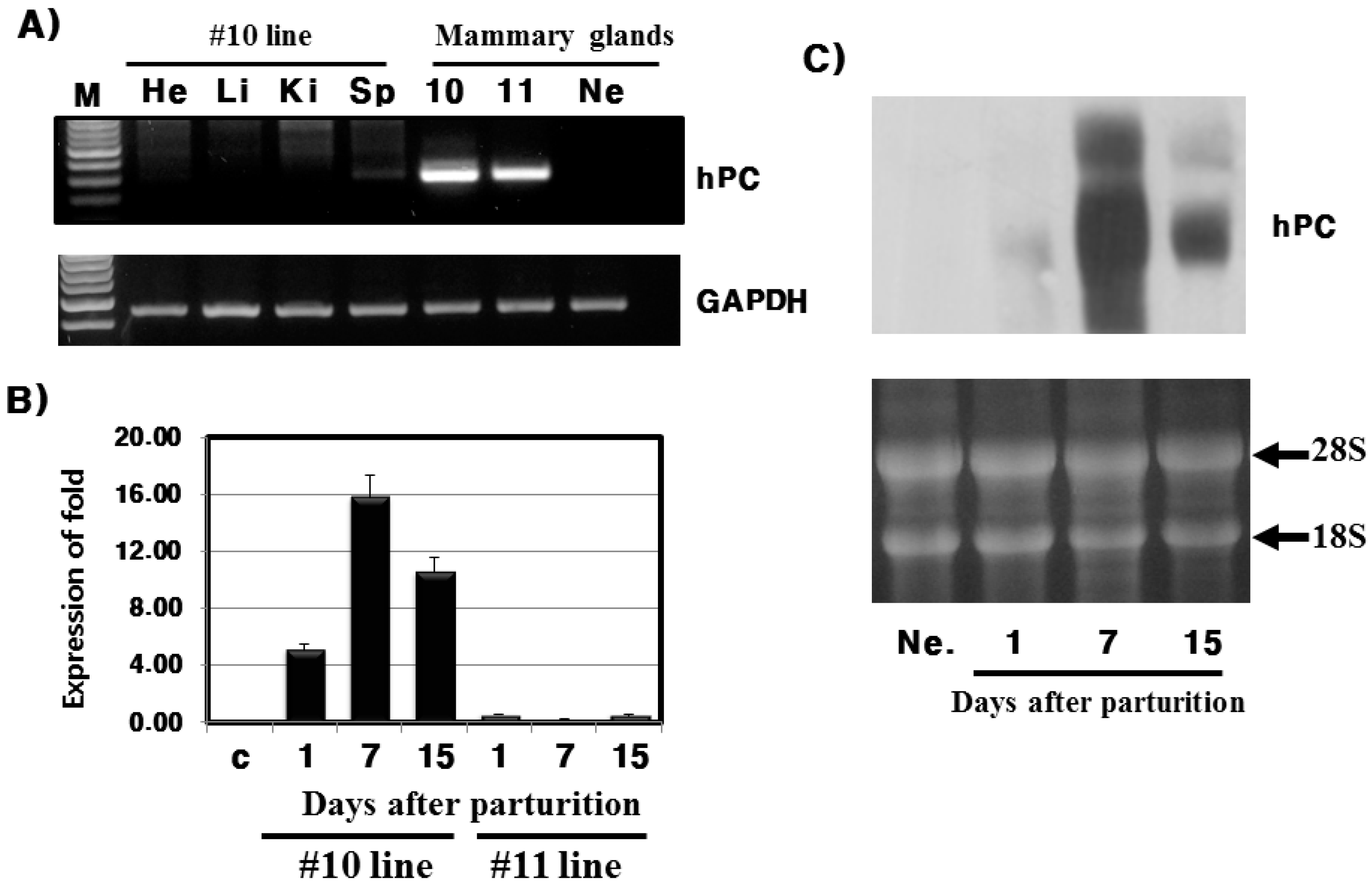 Ijms 16 04904 g003 1024