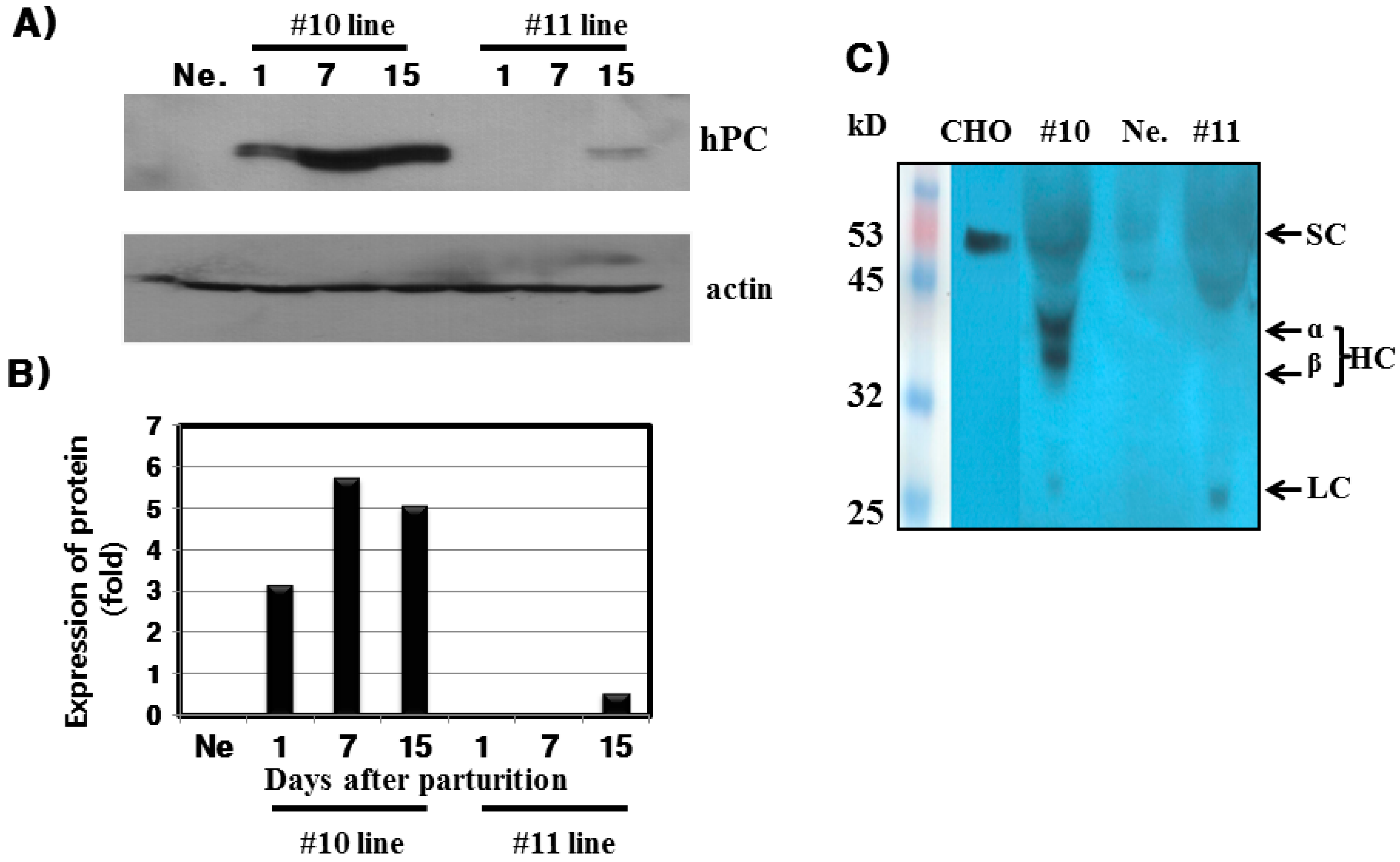Ijms 16 04904 g004 1024