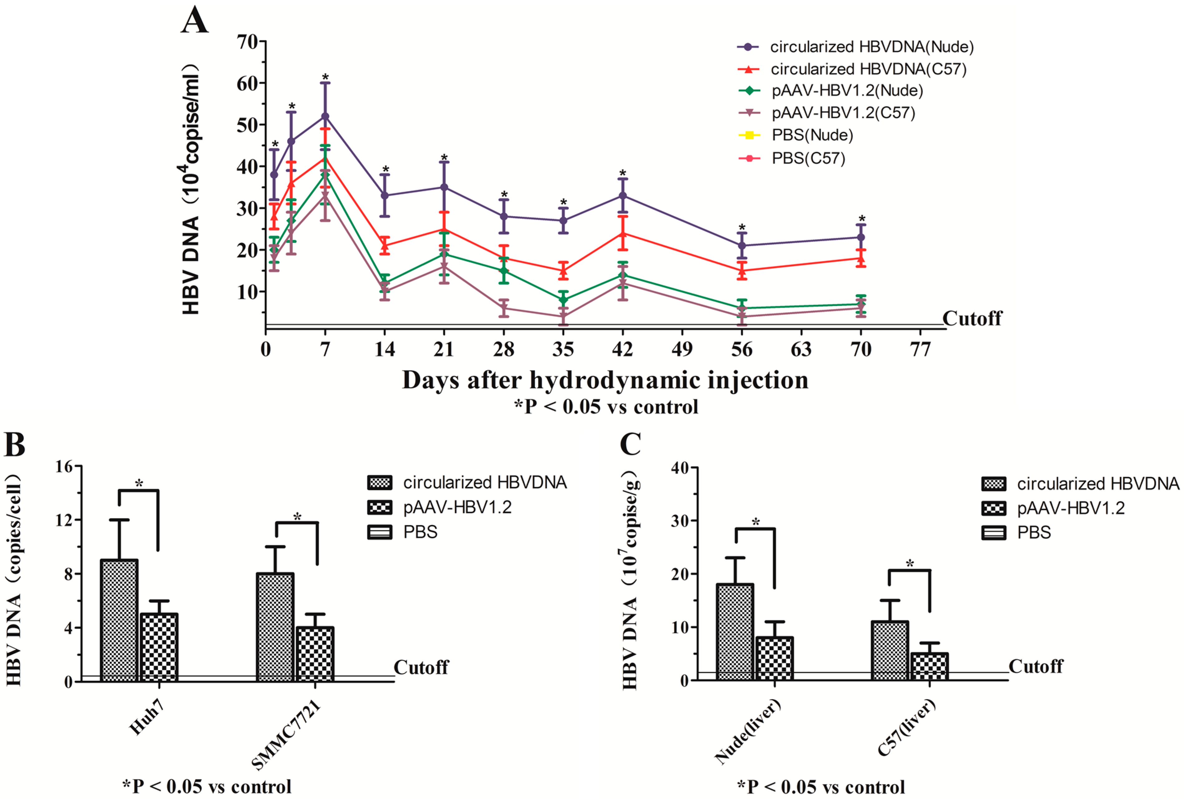 Ijms 16 05141 g002a 1024