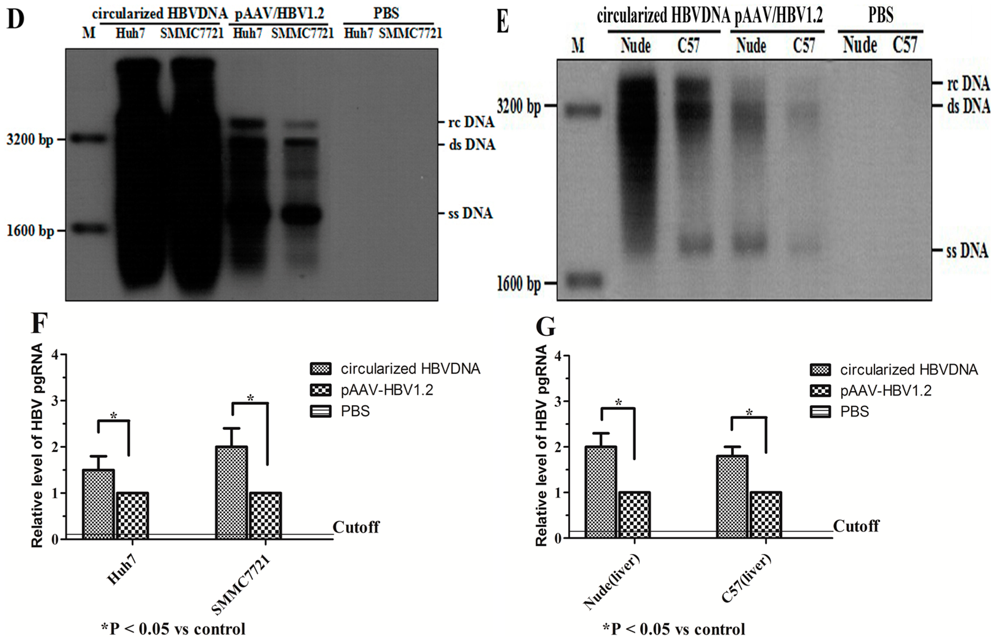 Ijms 16 05141 g002b 1024