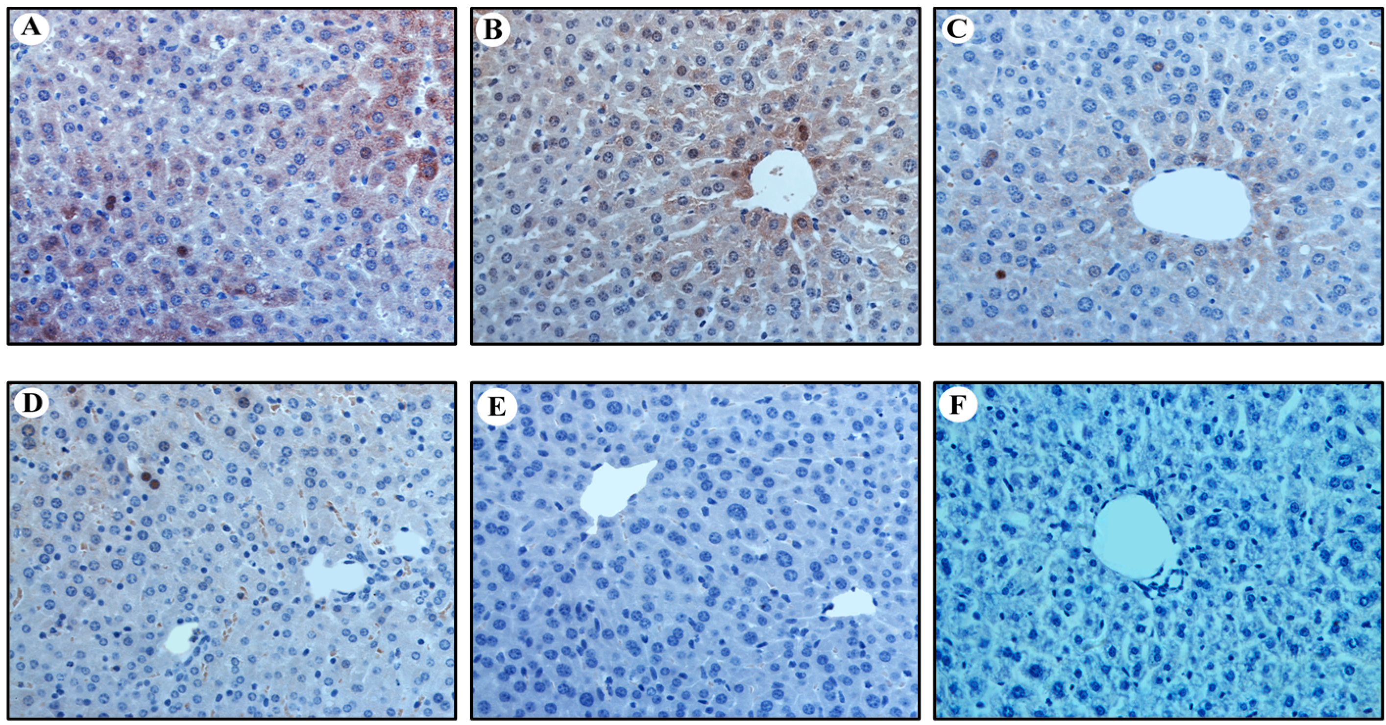 Ijms 16 05141 g003 1024