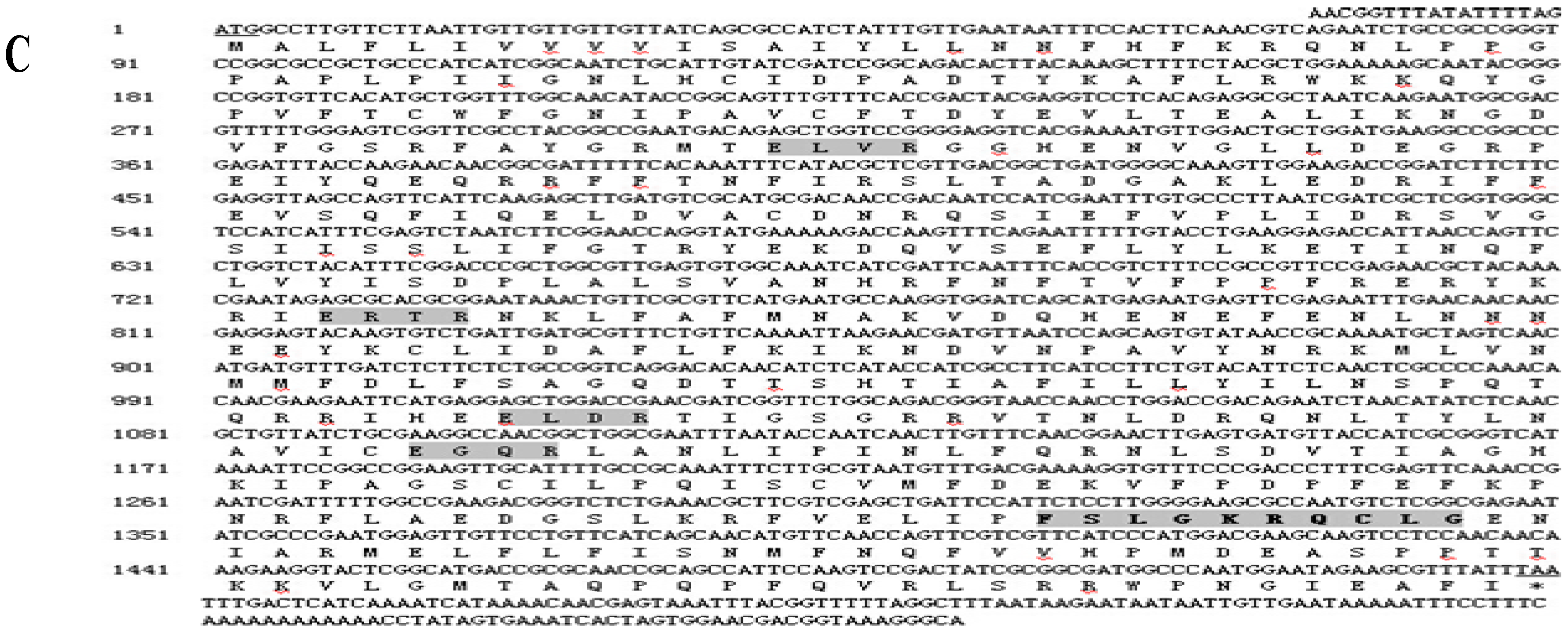 Ijms 16 05216 g001b 1024