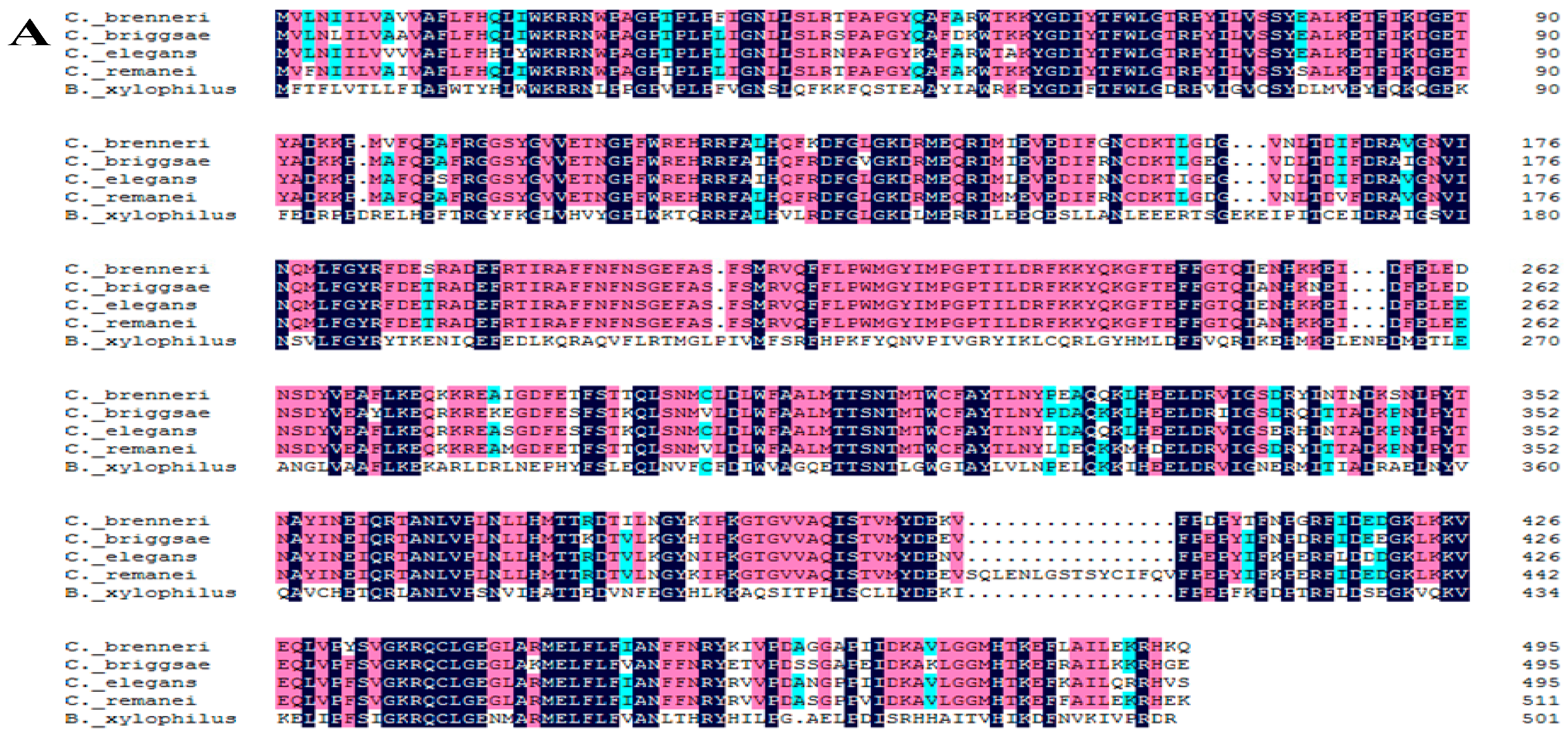 Ijms 16 05216 g002a 1024