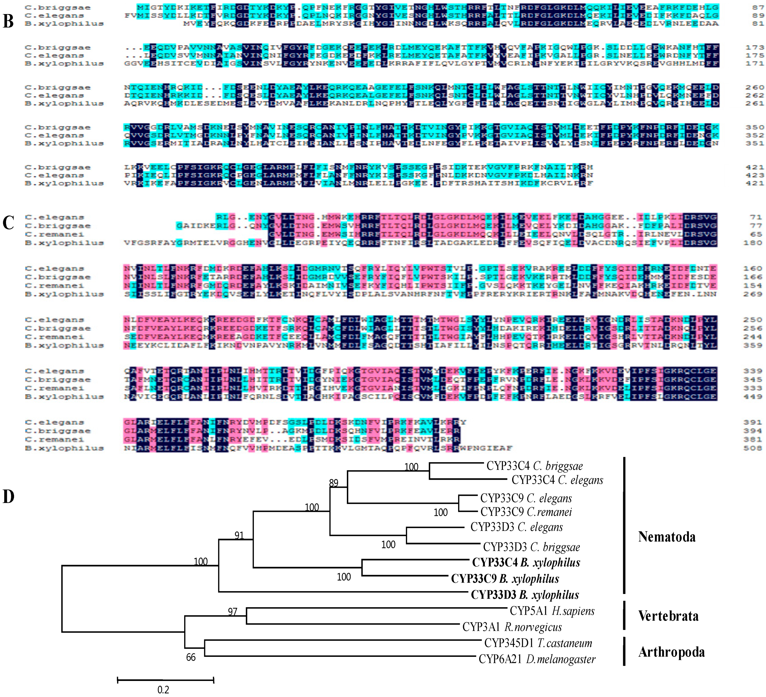 Ijms 16 05216 g002b 1024