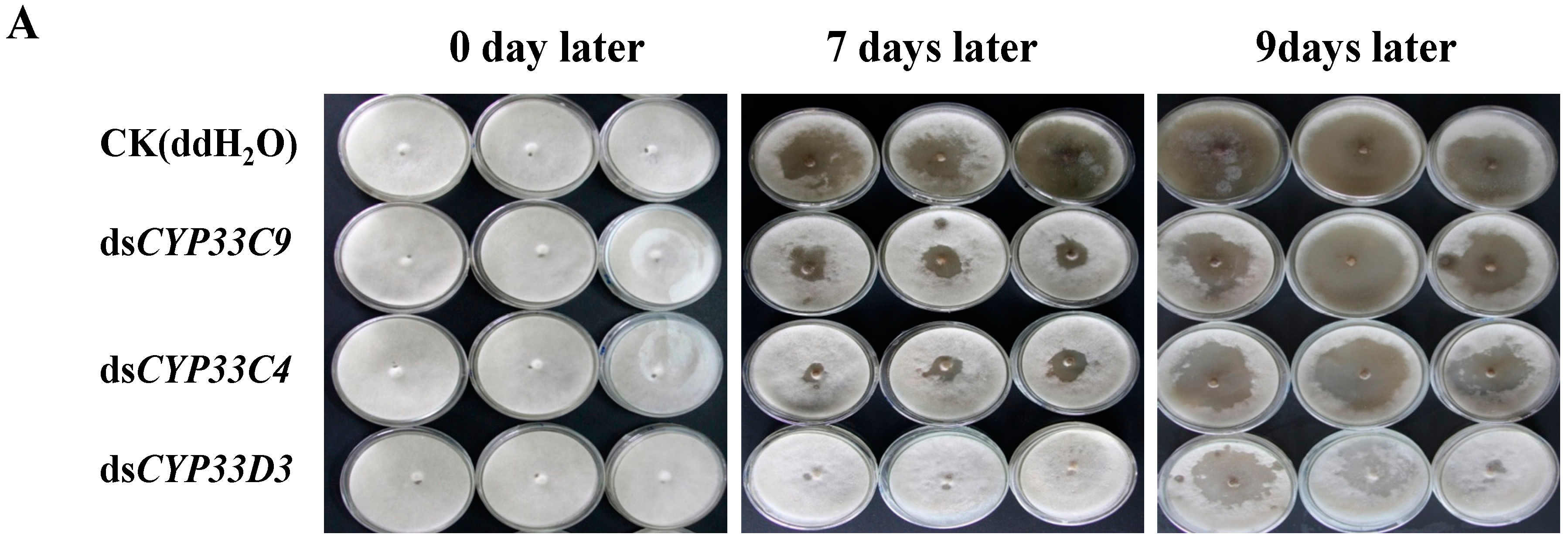 Ijms 16 05216 g005a 1024