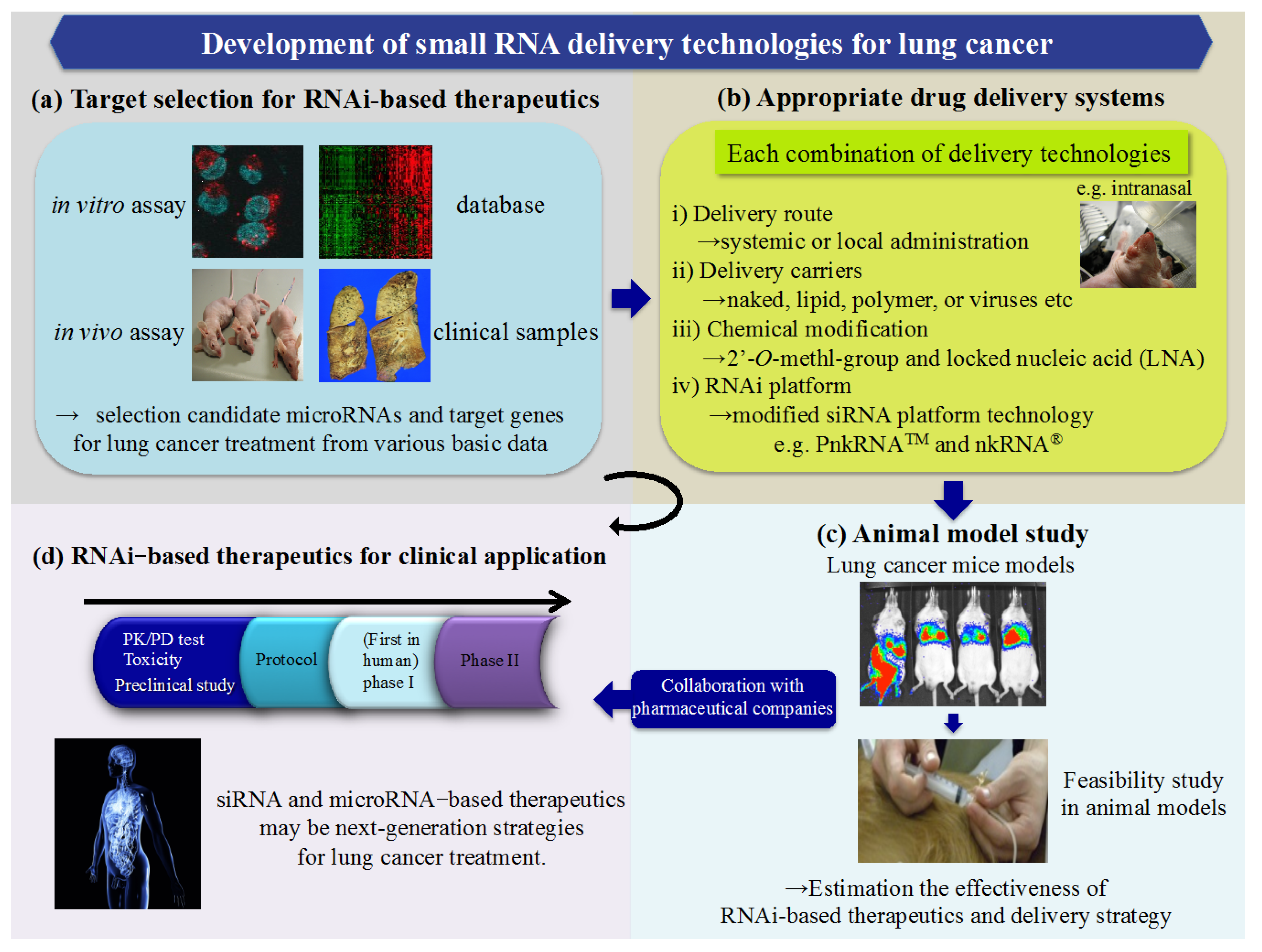 Ijms 16 05254 g002 1024