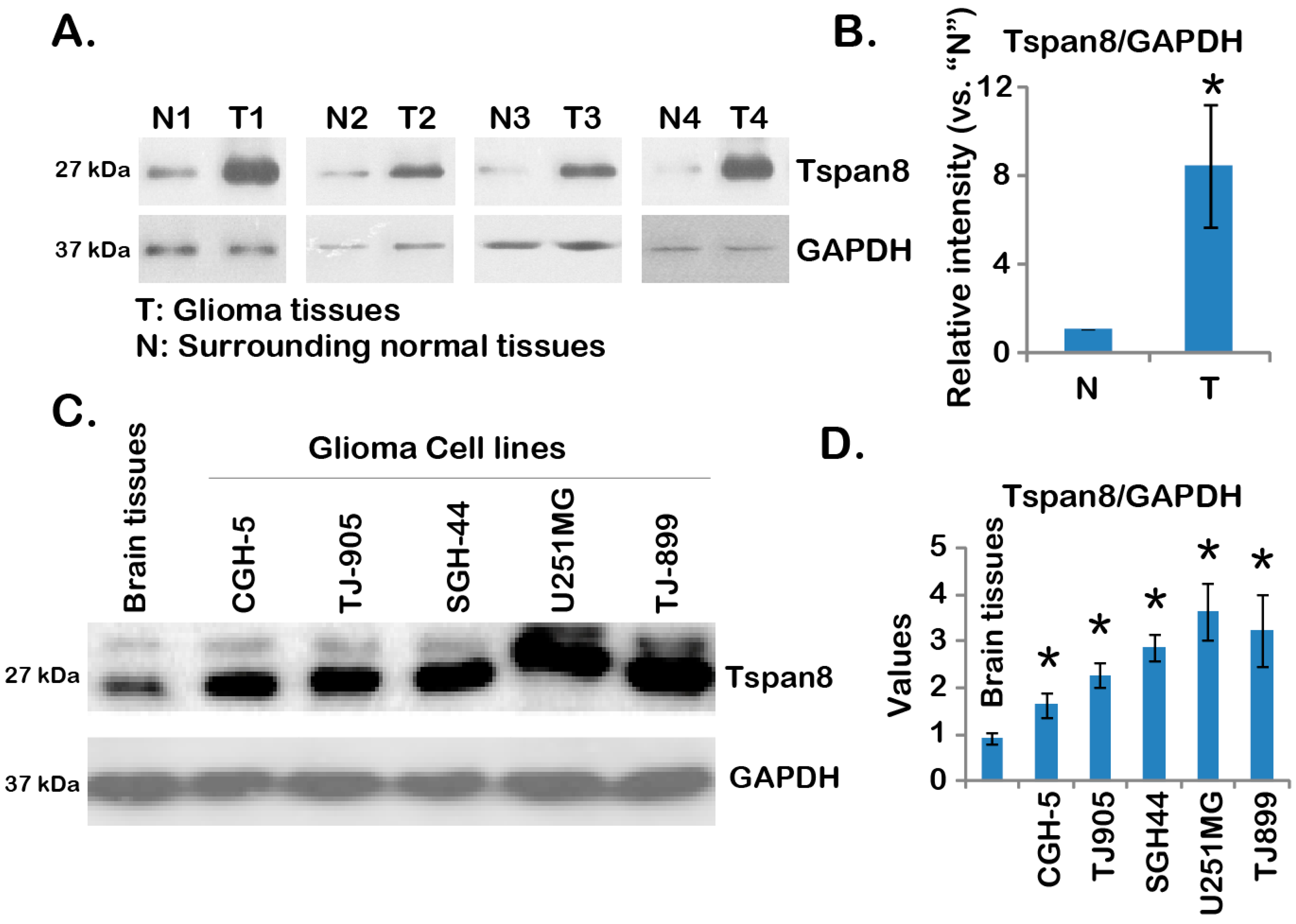 Ijms 16 05363 g001 1024