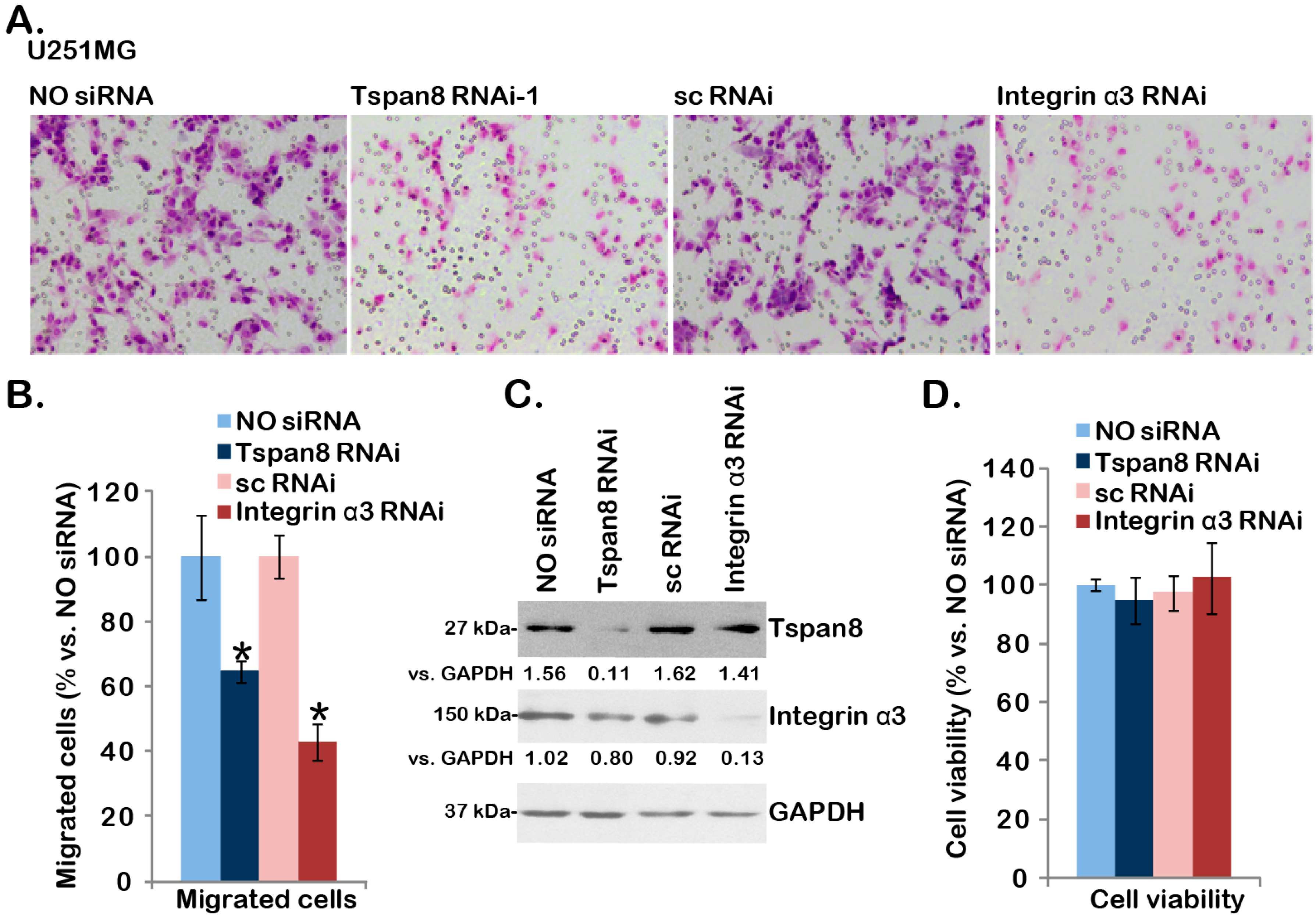 Ijms 16 05363 g003 1024