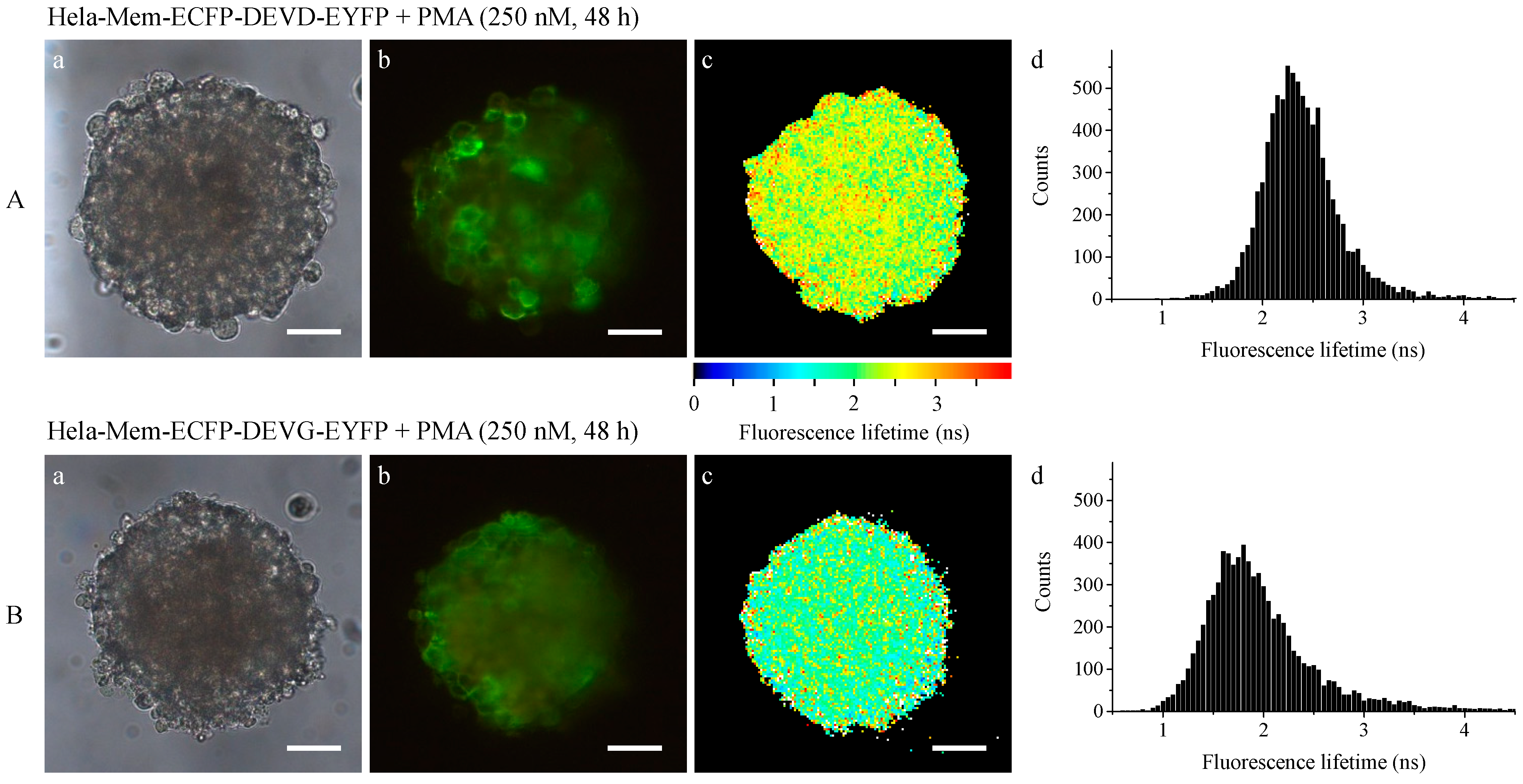 Ijms 16 05375 g006 1024