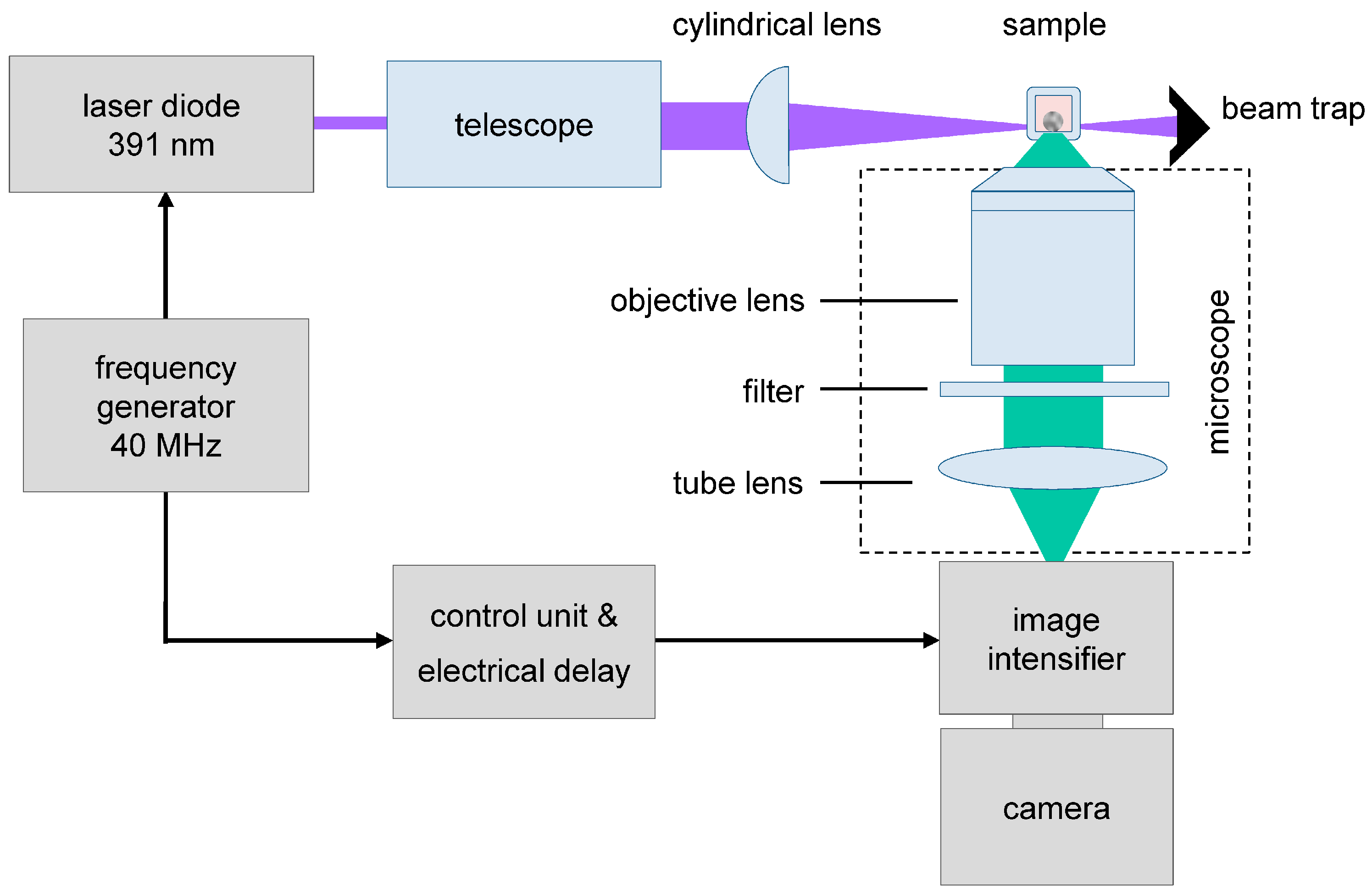 Ijms 16 05375 g008 1024