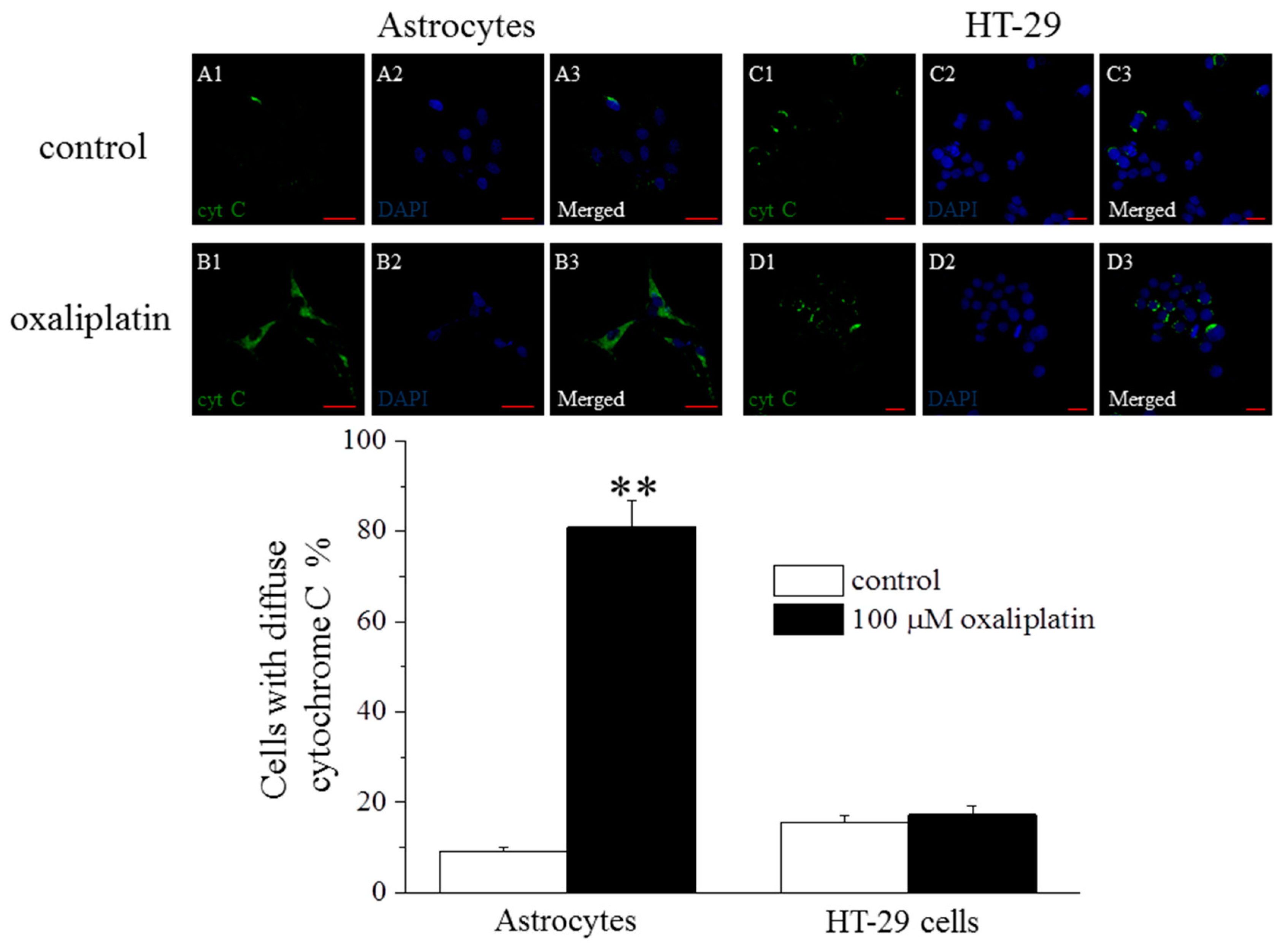 Ijms 16 05386 g001 1024