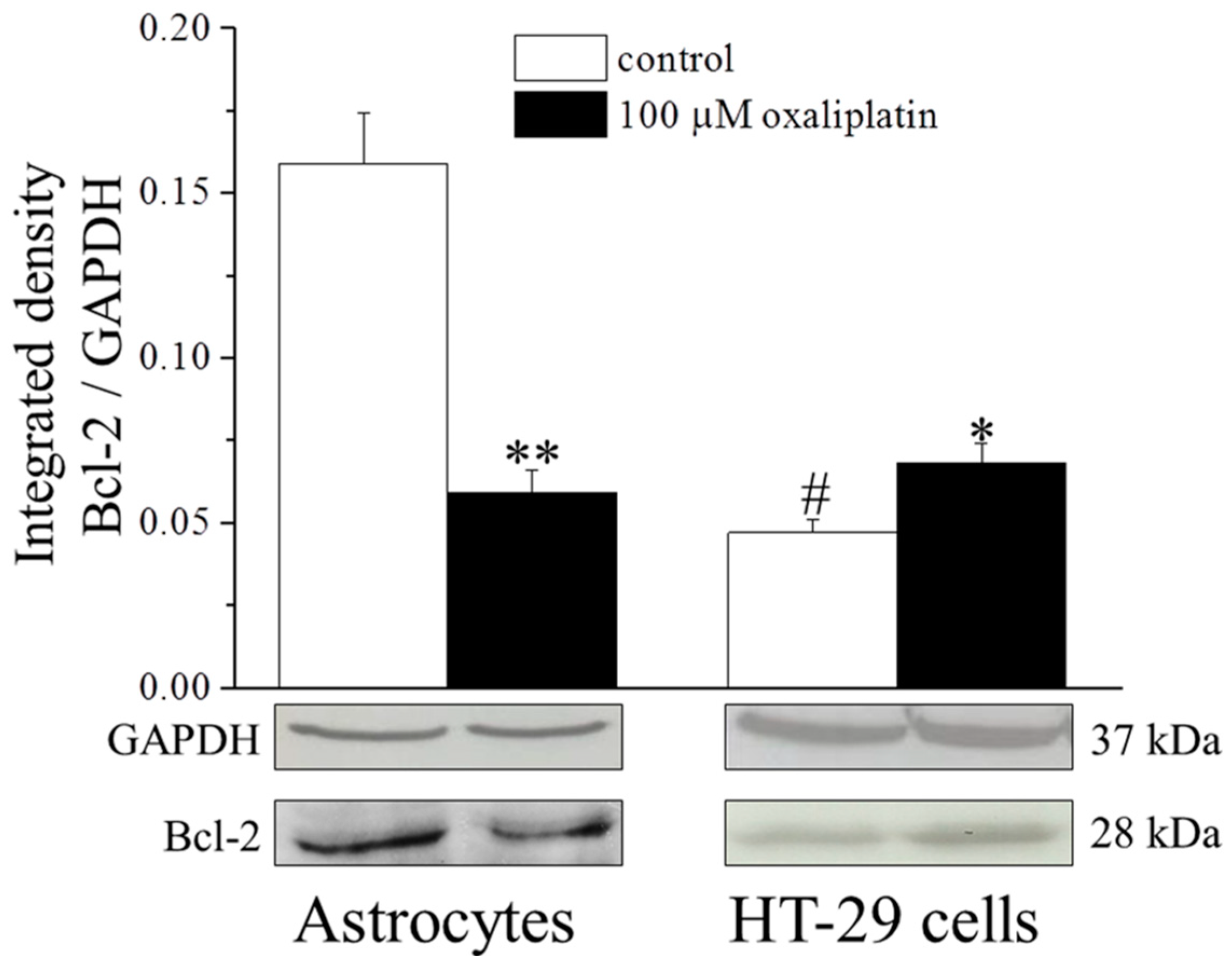Ijms 16 05386 g003 1024