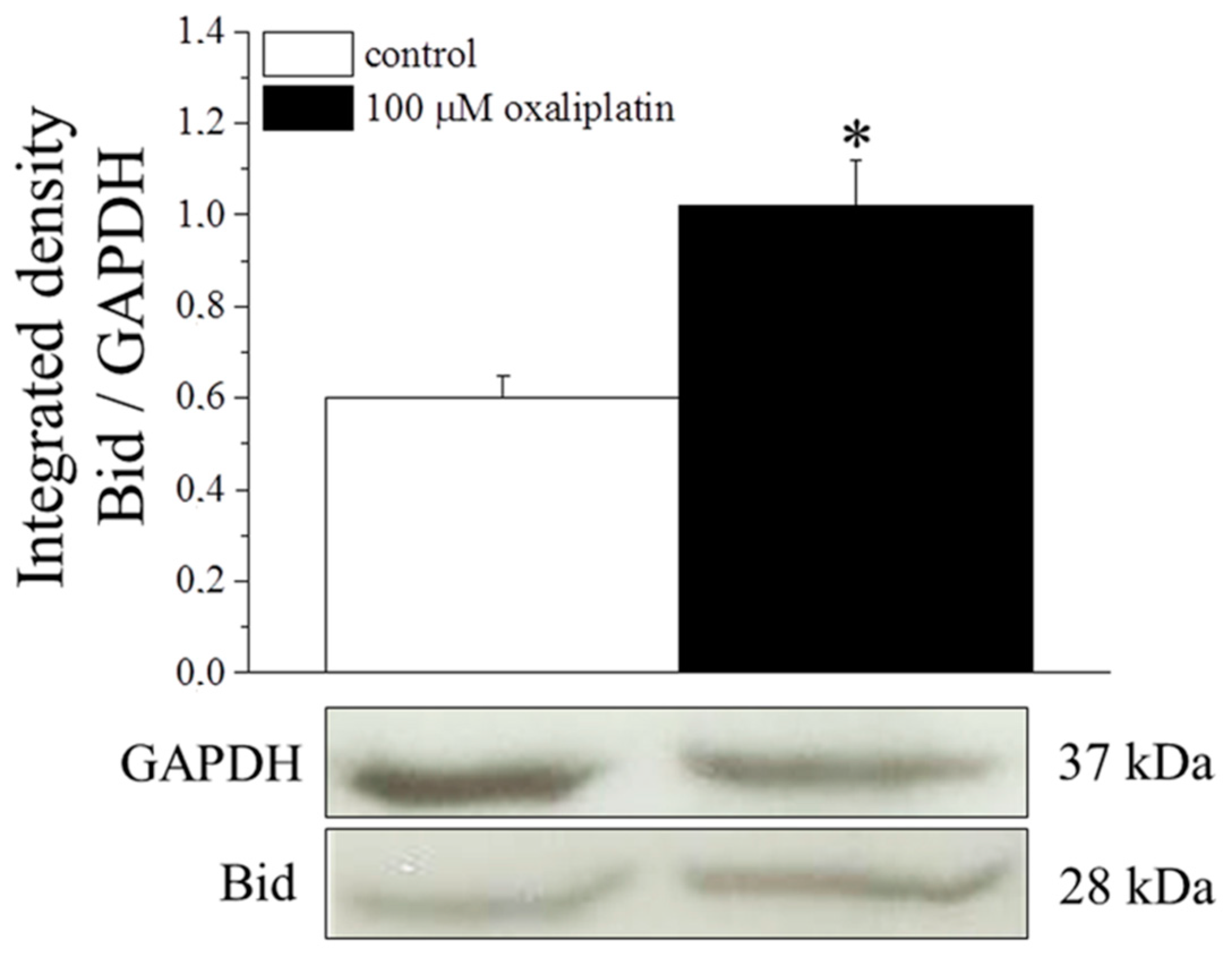 Ijms 16 05386 g006 1024
