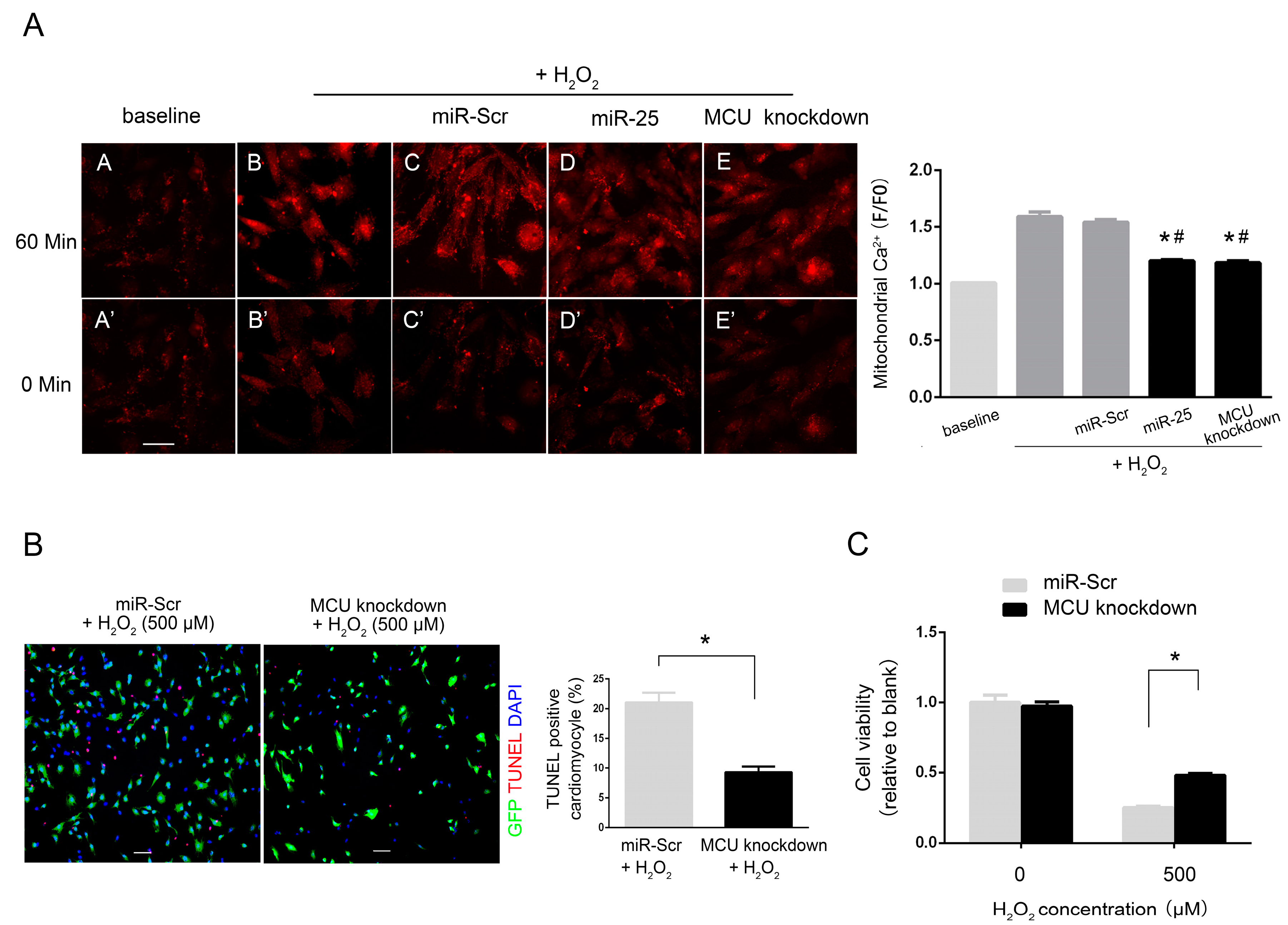 Ijms 16 05420 g005 1024