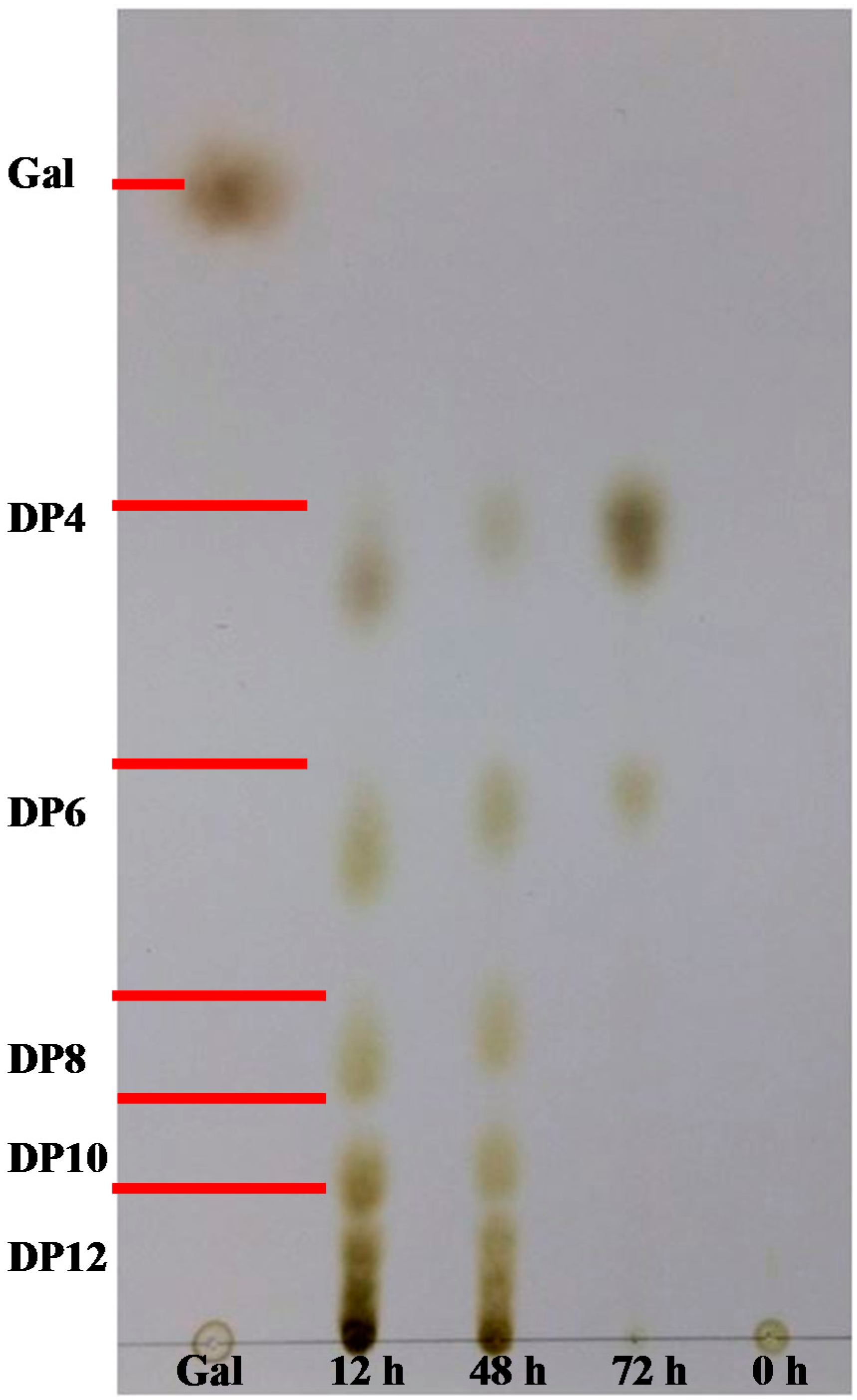 Ijms 16 05590 g005 1024