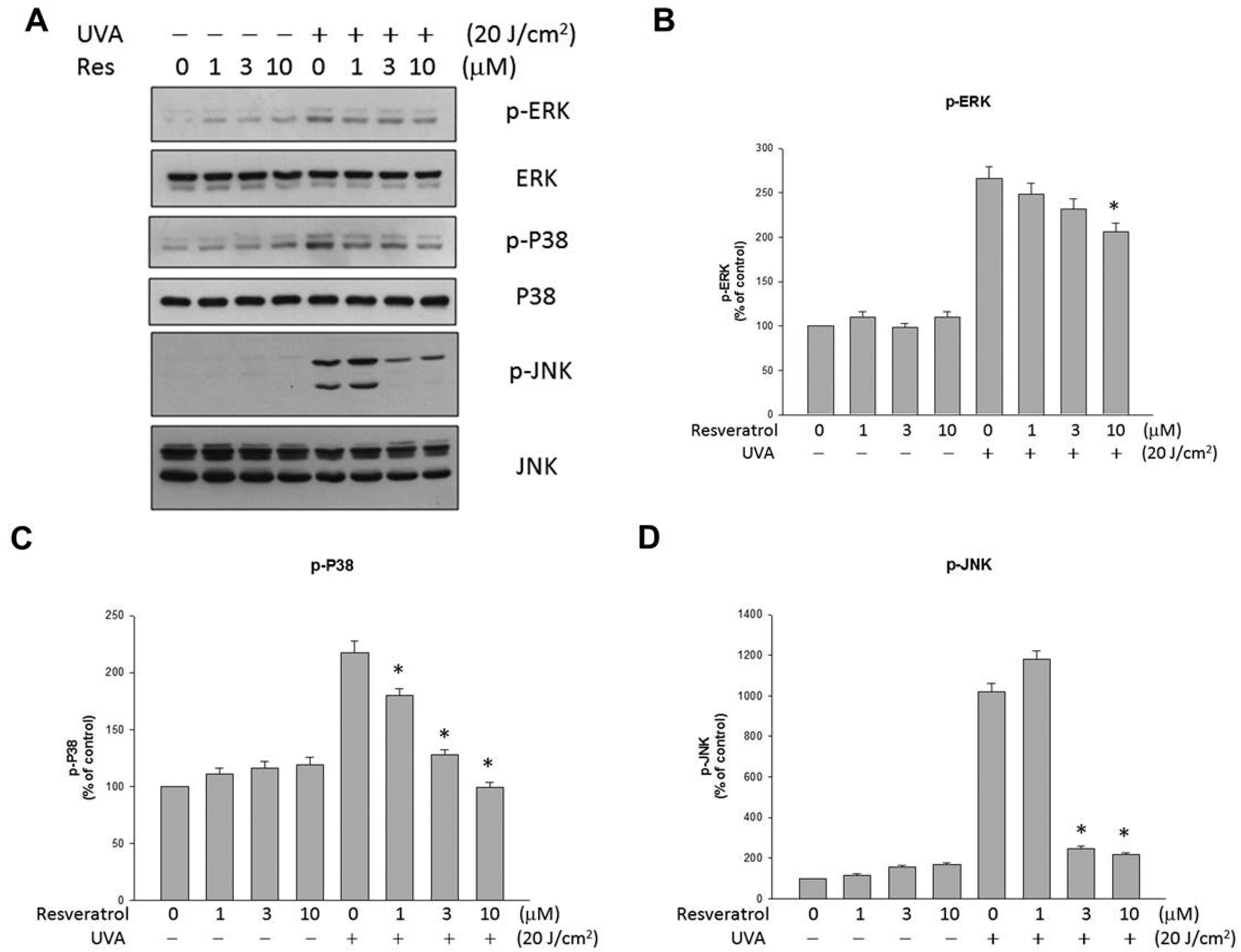 Ijms 16 05789 g004 1024