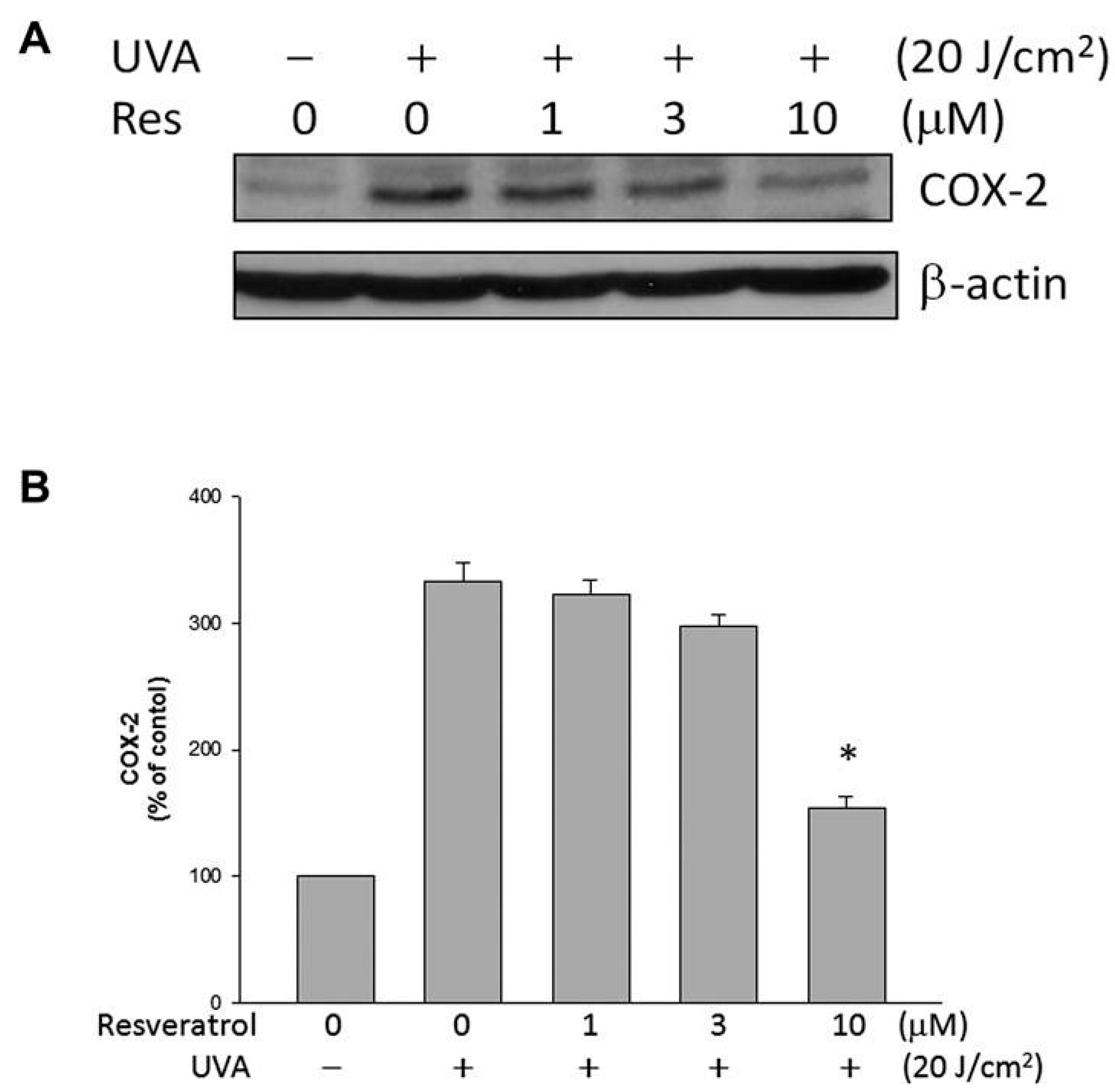 Ijms 16 05789 g005 1024
