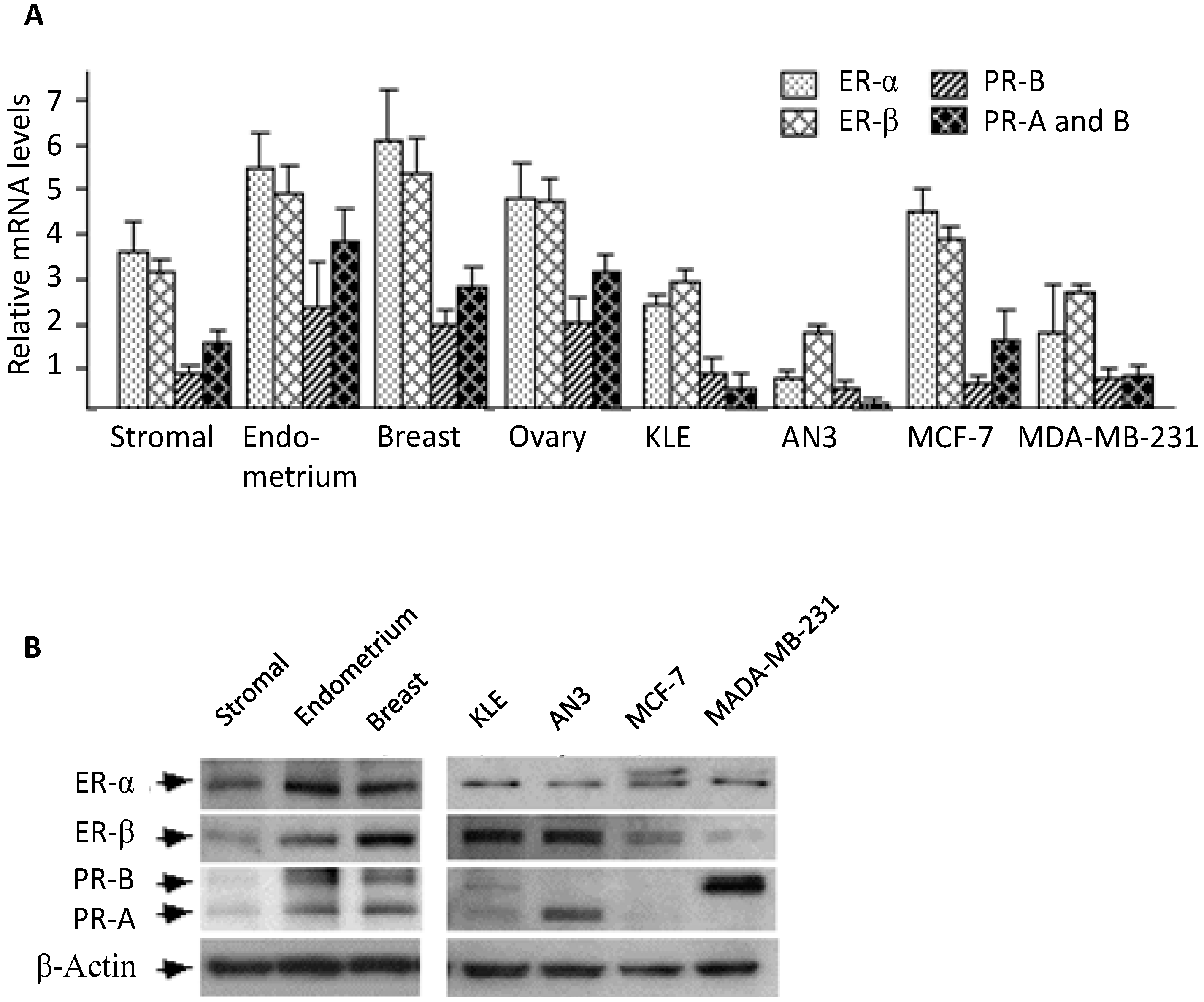 Ijms 16 05864 g001 1024
