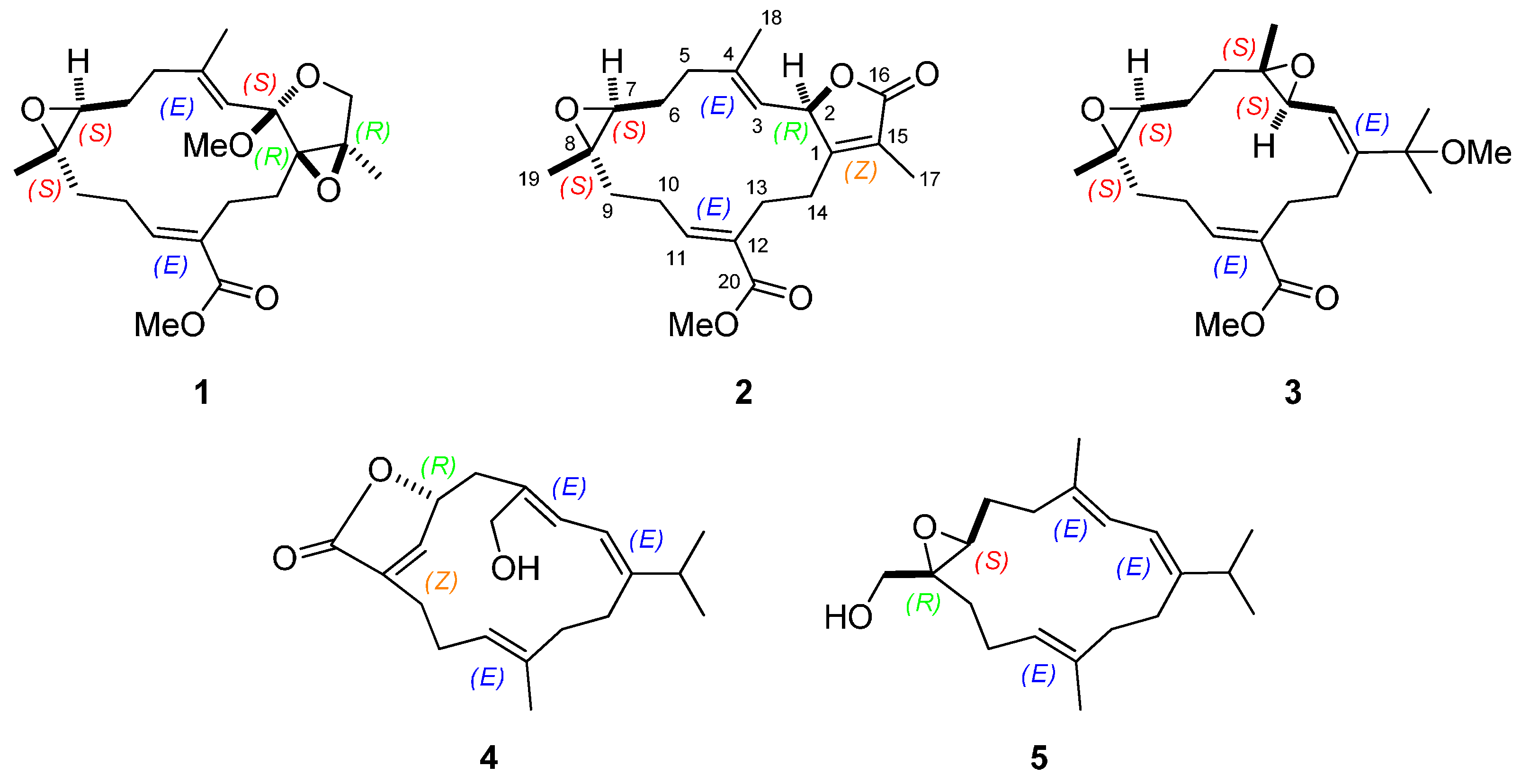 Ijms 16 06140 g001 1024