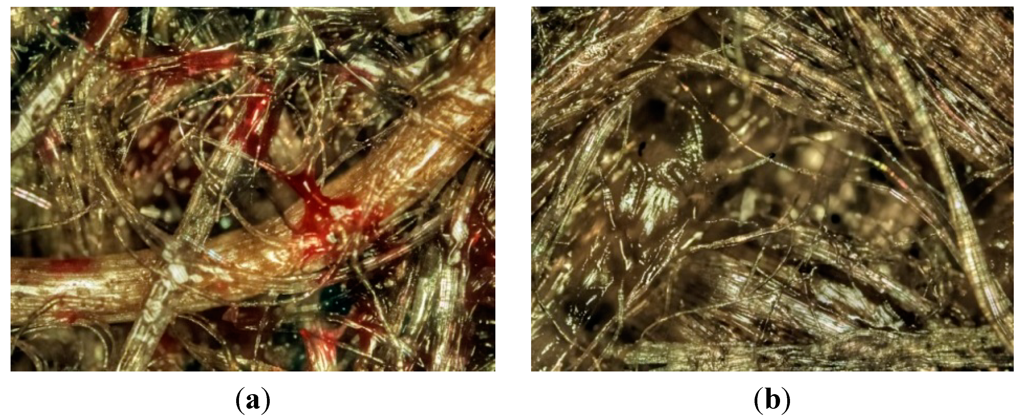 Ijms 16 06202 g003a 1024