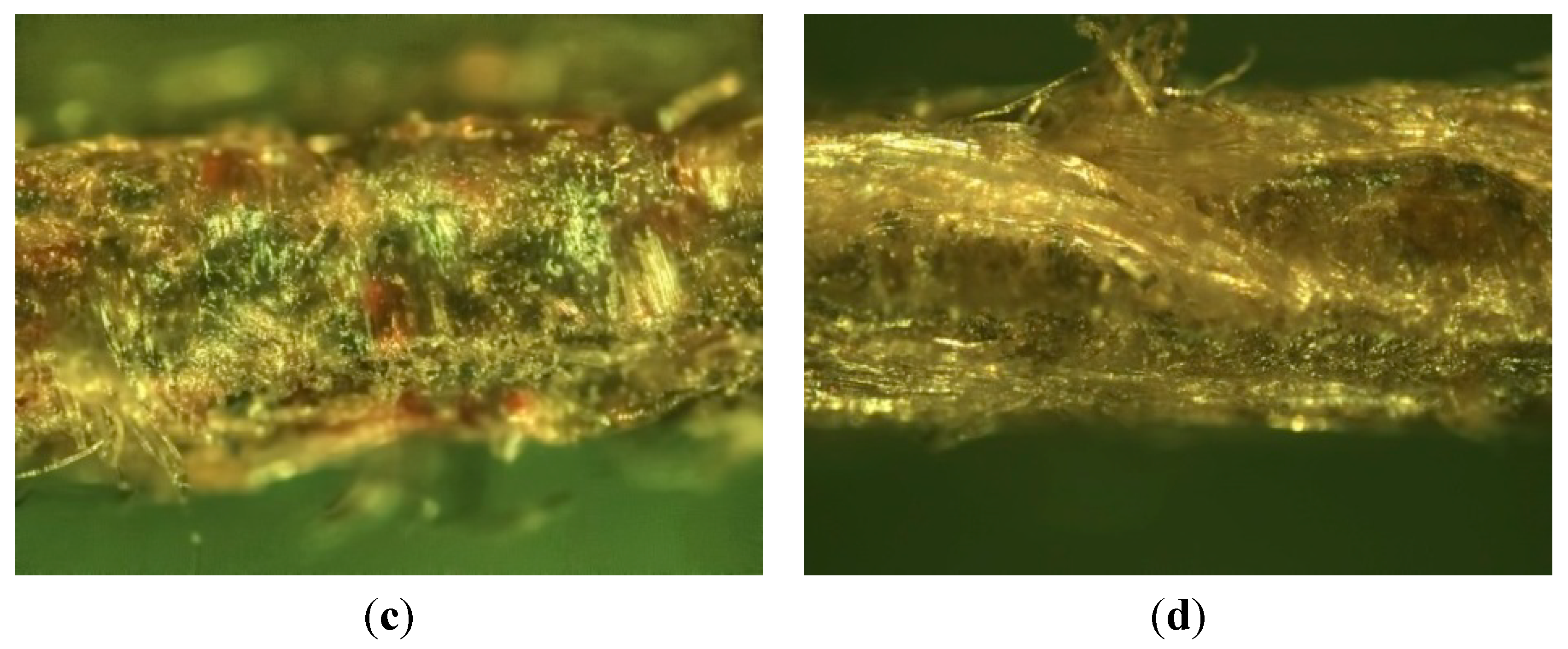 Ijms 16 06202 g003b 1024