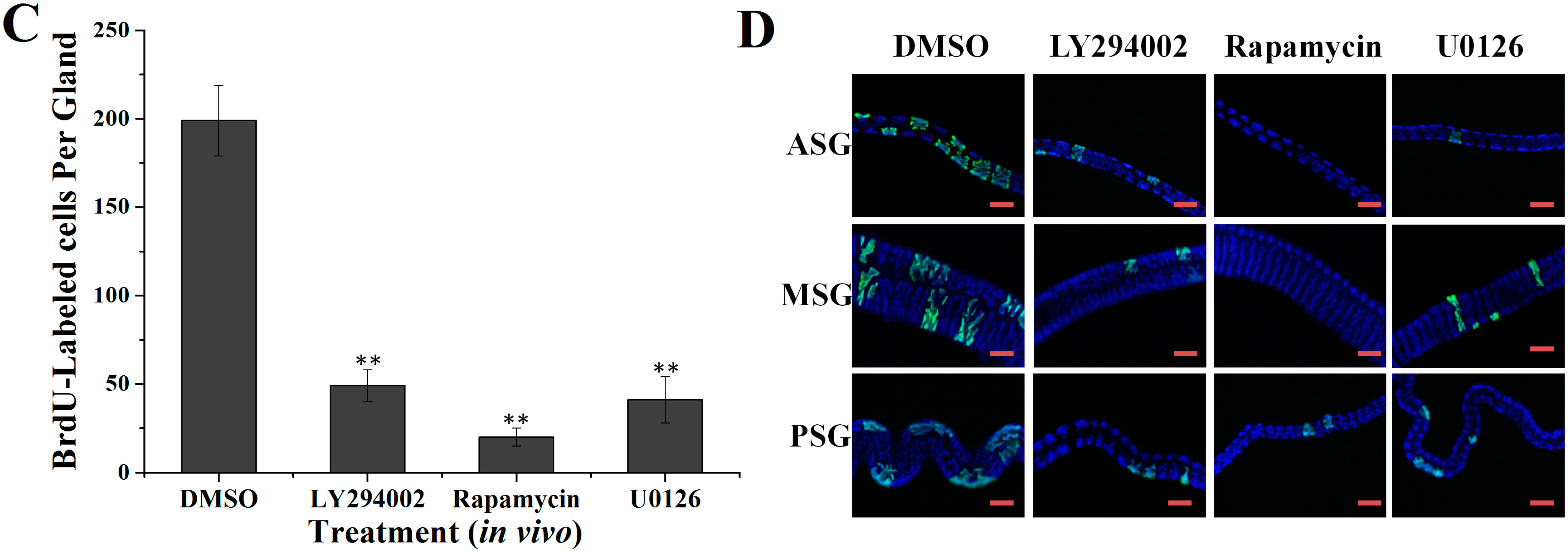 Ijms 16 06266 g002b