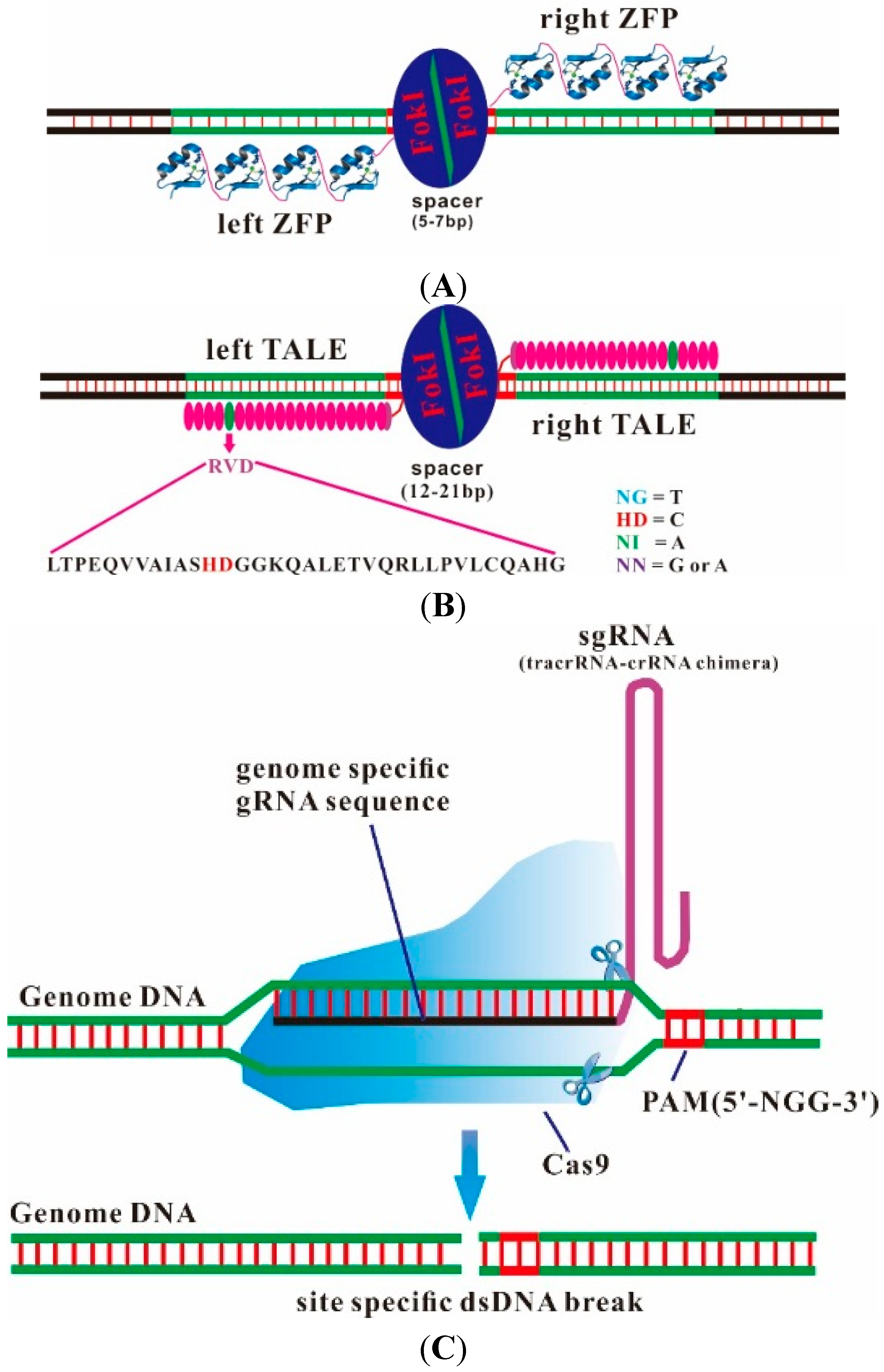 Ijms 16 06545 g002