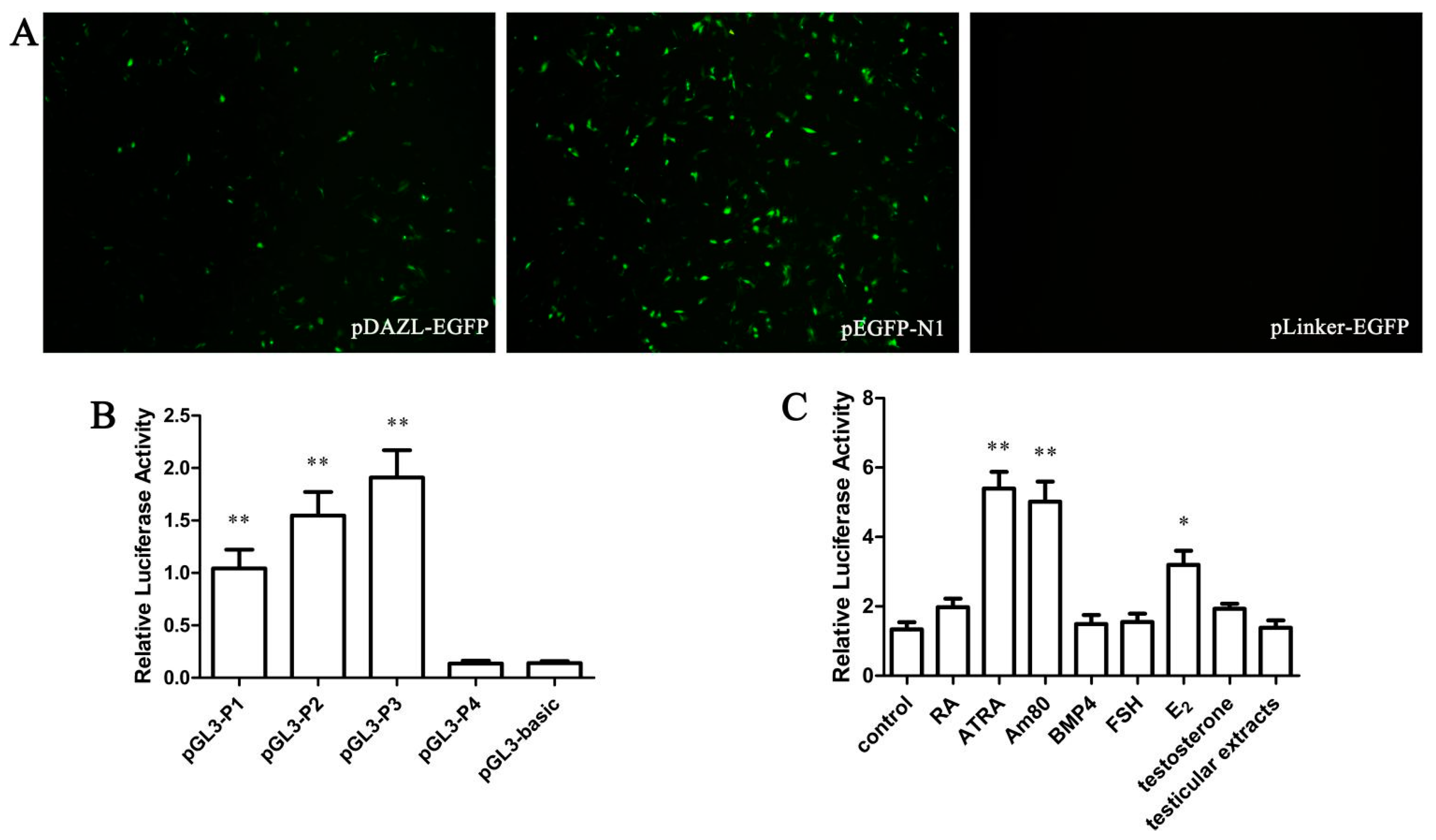 Ijms 16 06595 g001 1024