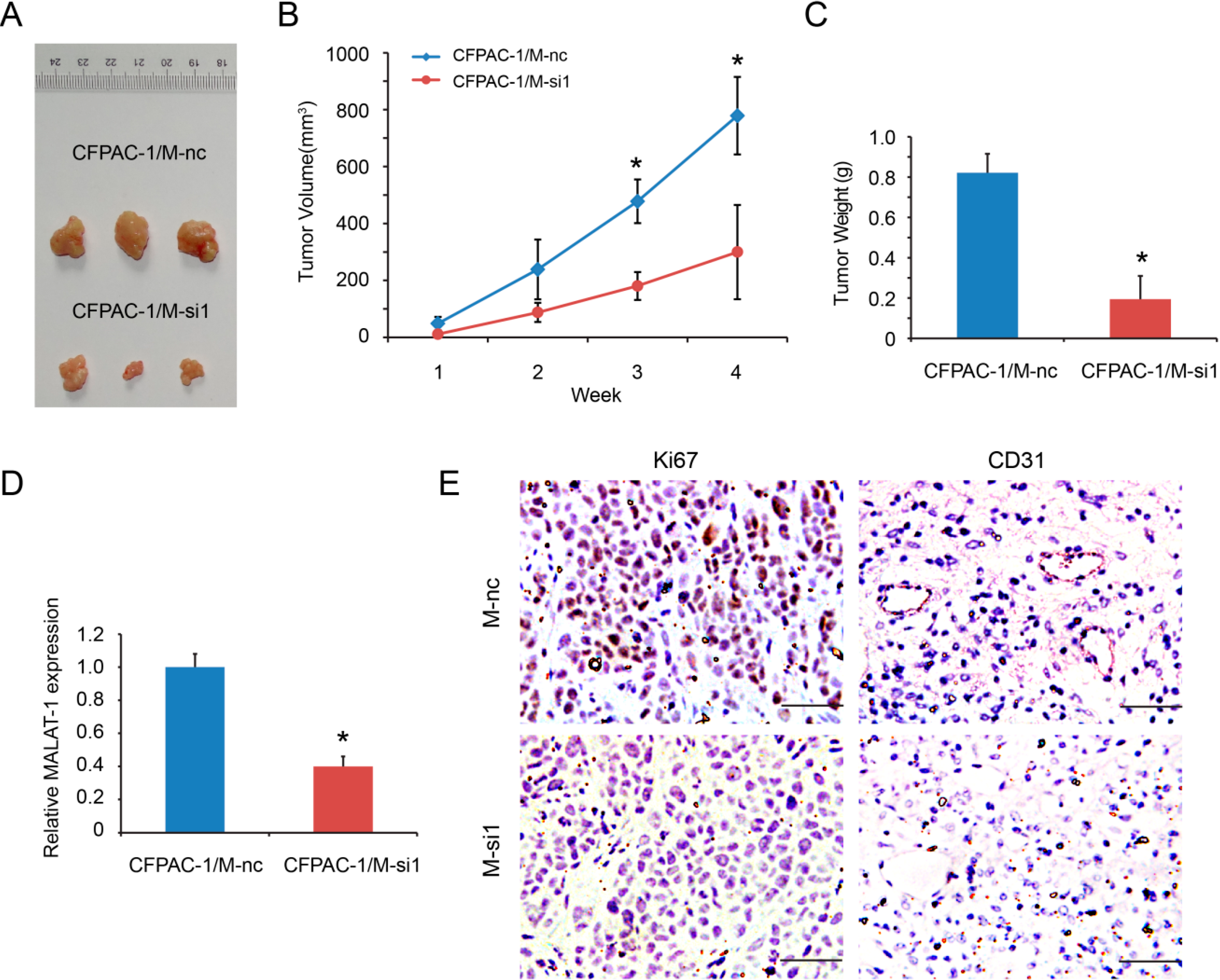 Ijms 16 06677 g005 1024