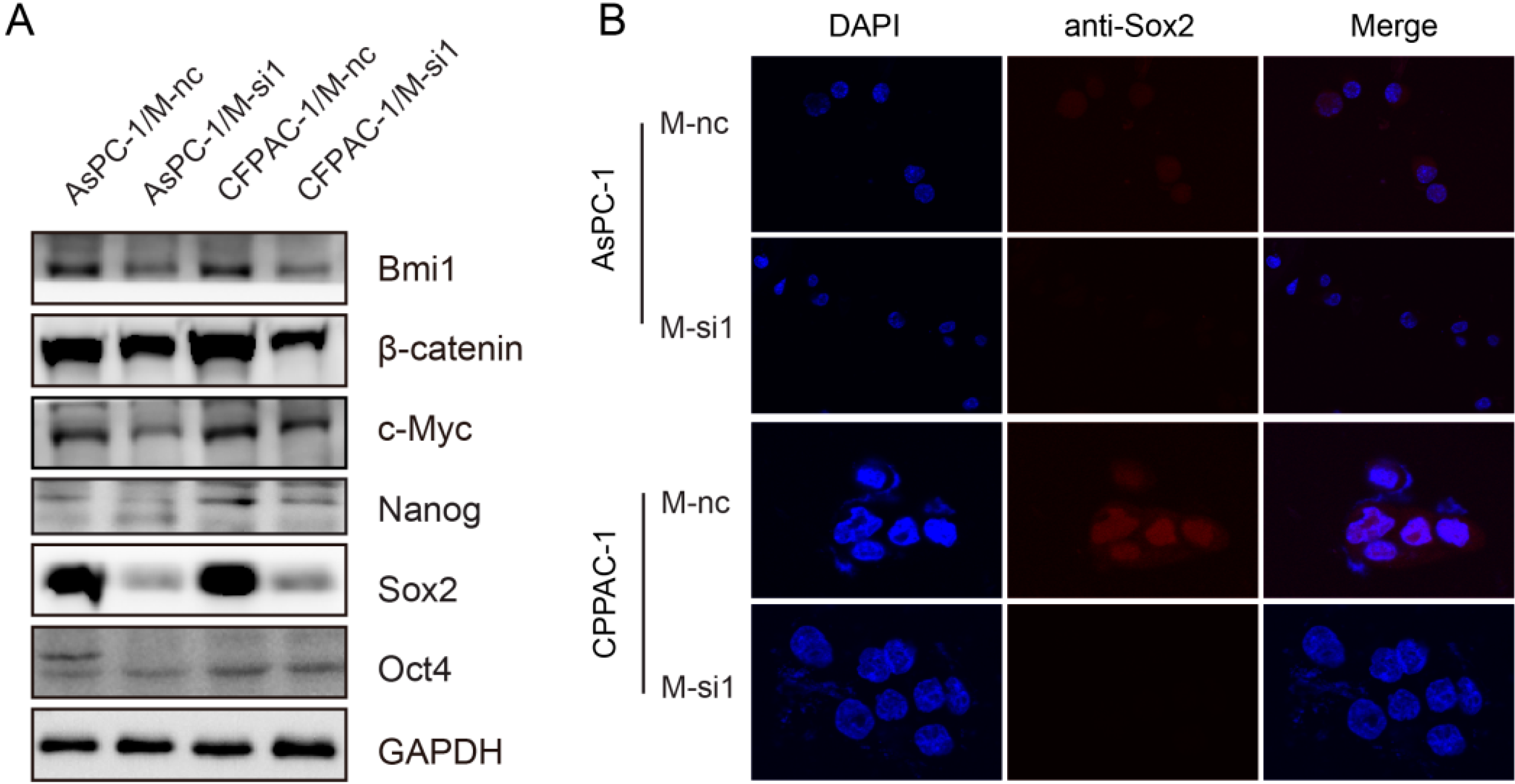 Ijms 16 06677 g006 1024