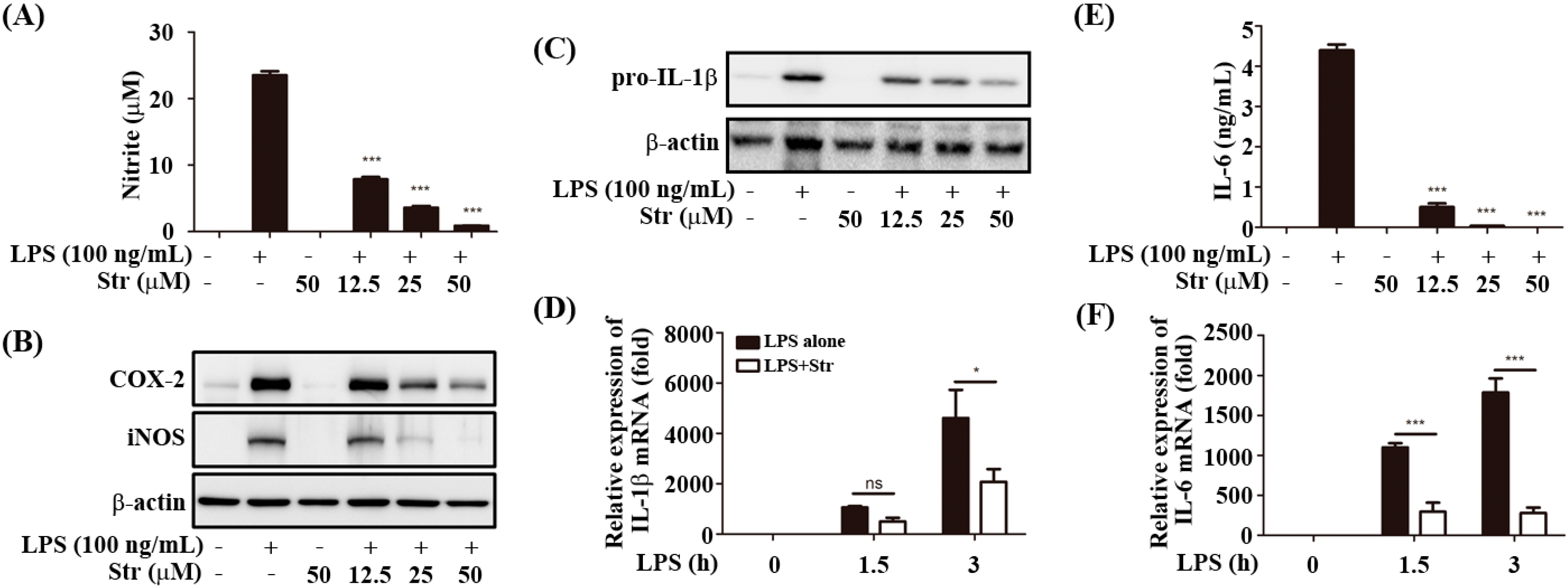 Ijms 16 06902 g001a 1024