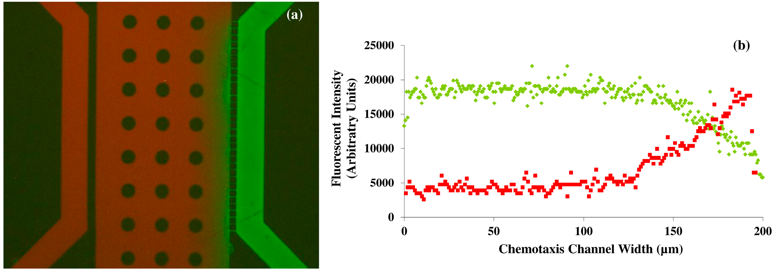 Ijms 16 07159 g001 1024