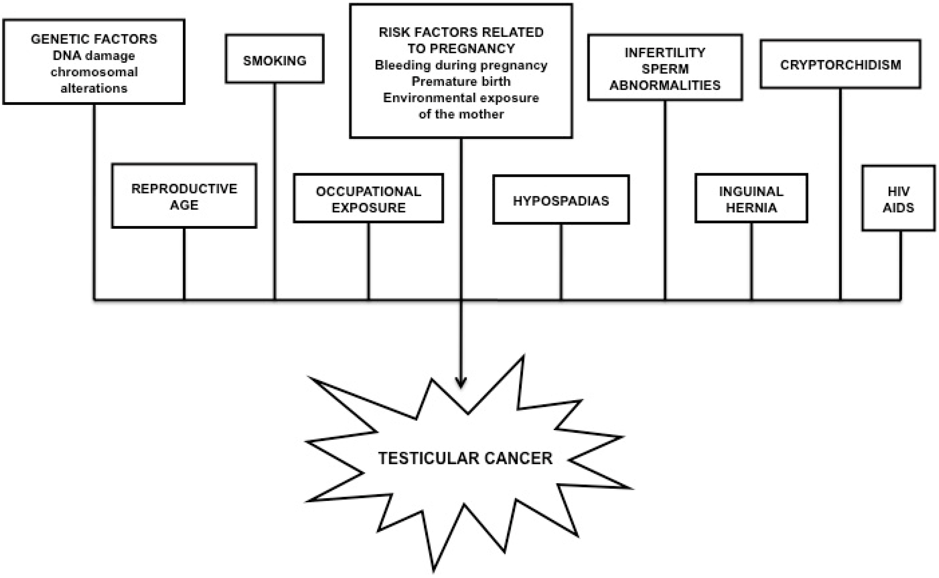 EDAS prostatitis