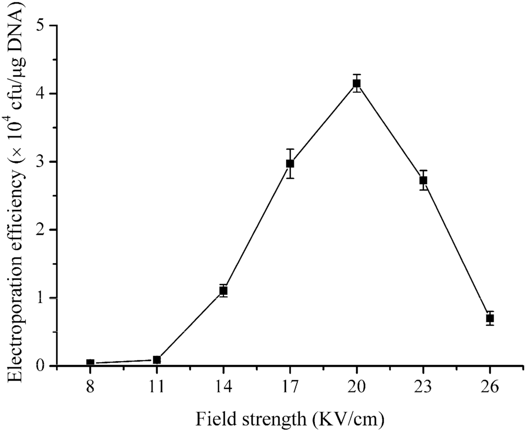 Development of an Efficient Electroporation Method for