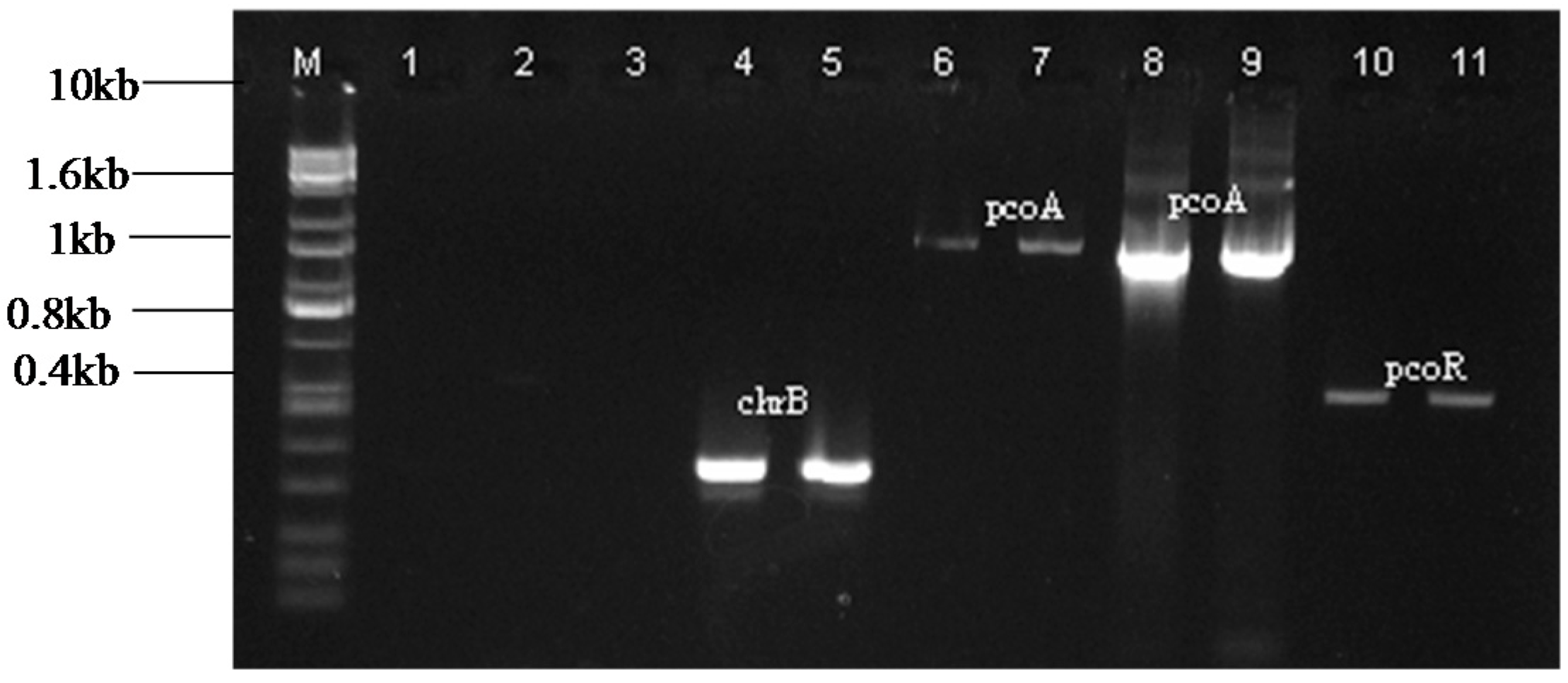 Ijms 16 07352 g002 1024