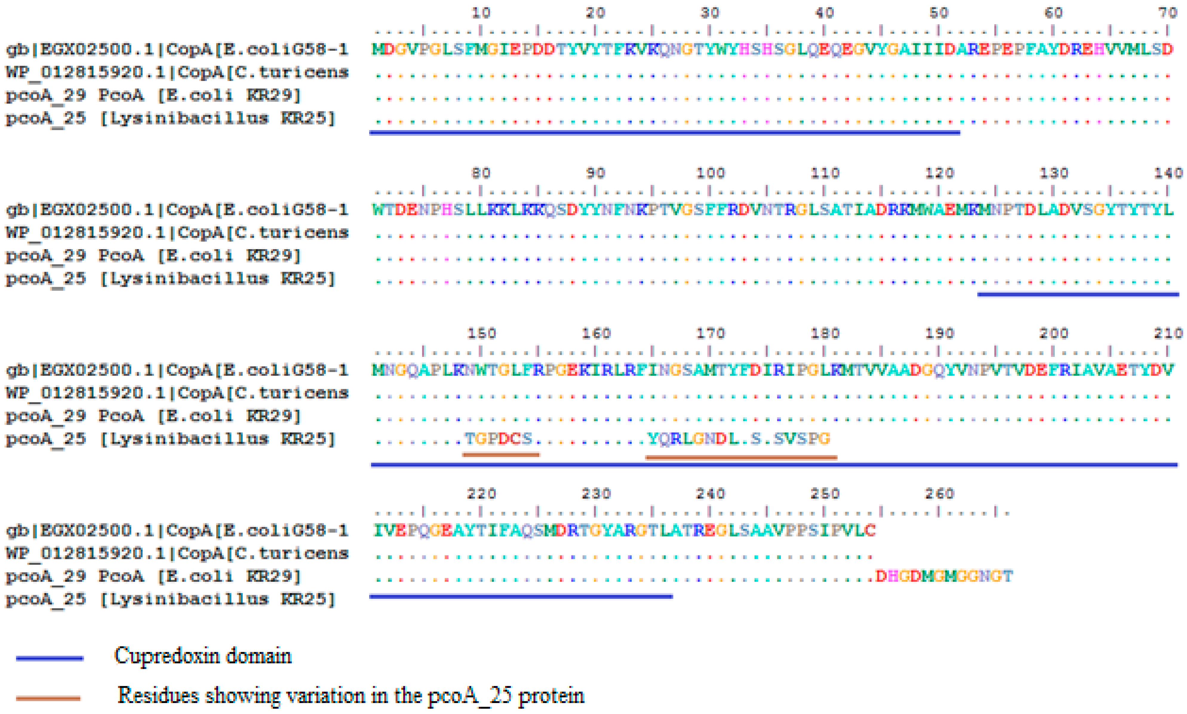 Ijms 16 07352 g004 1024