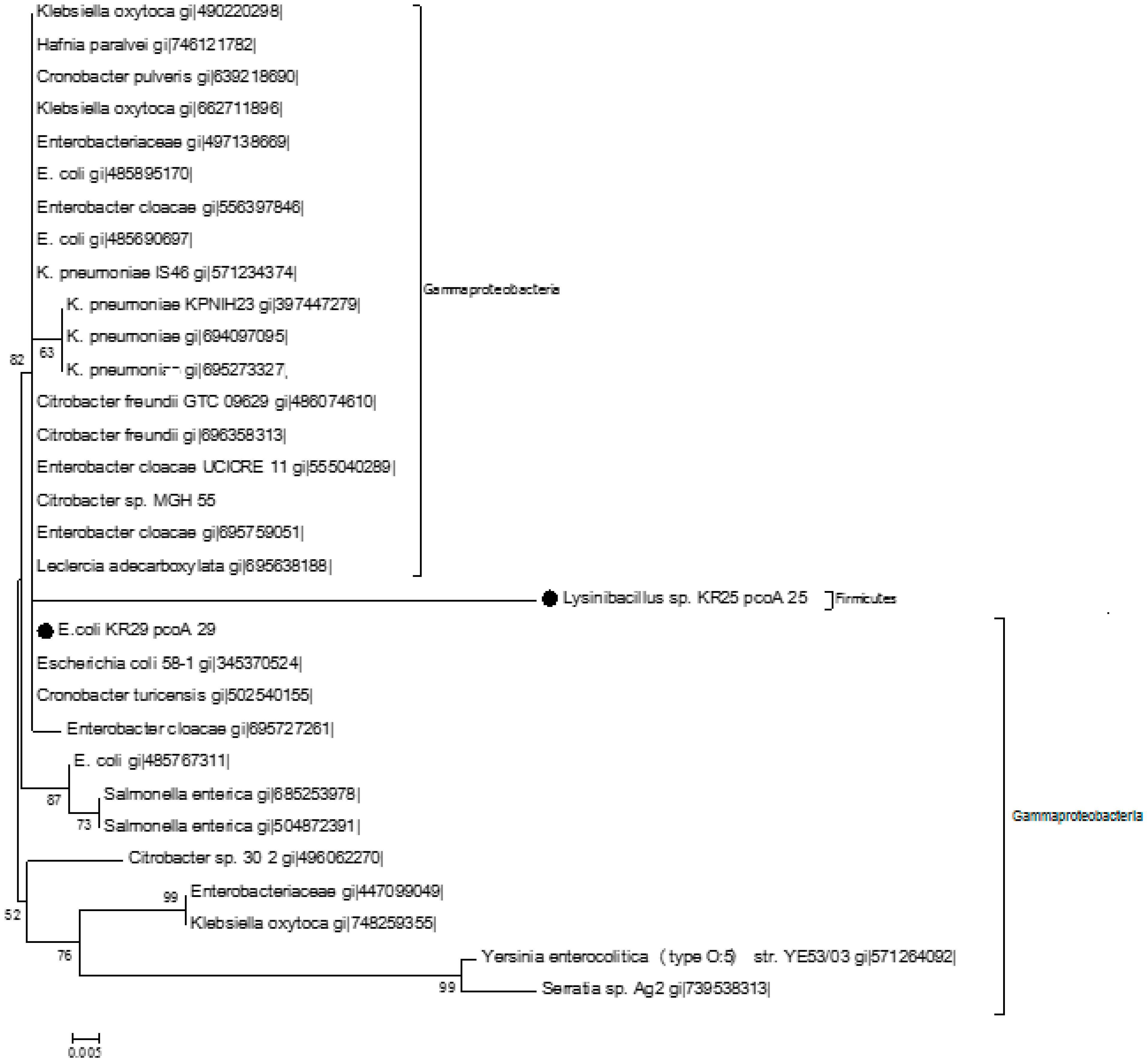 Ijms 16 07352 g005 1024