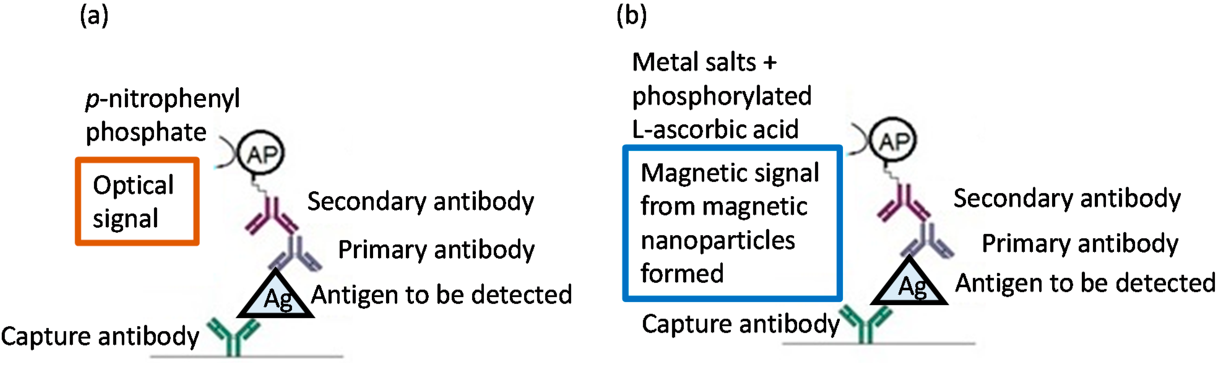 Ijms 16 07535 g001 1024