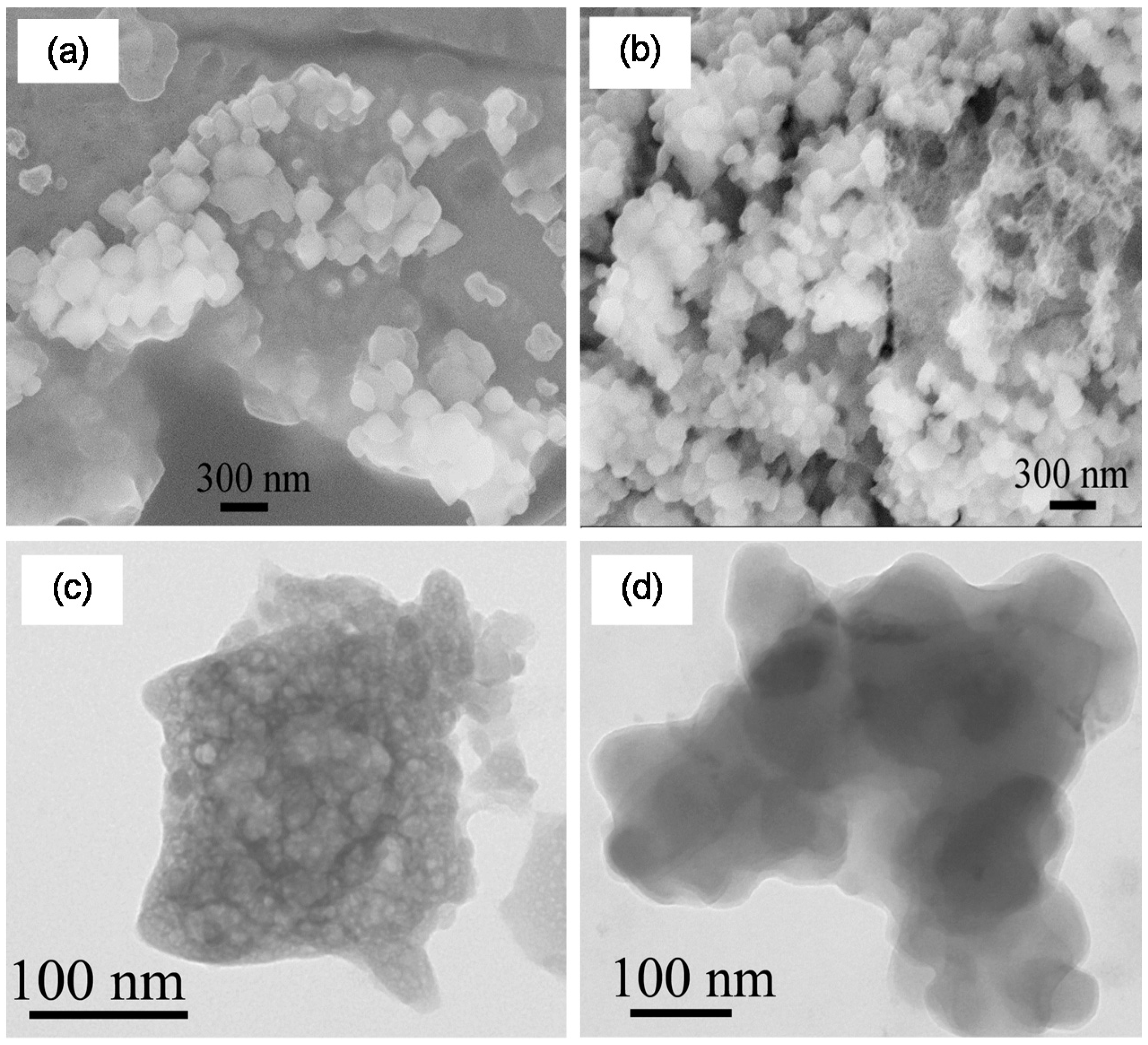 Ijms 16 07535 g002 1024