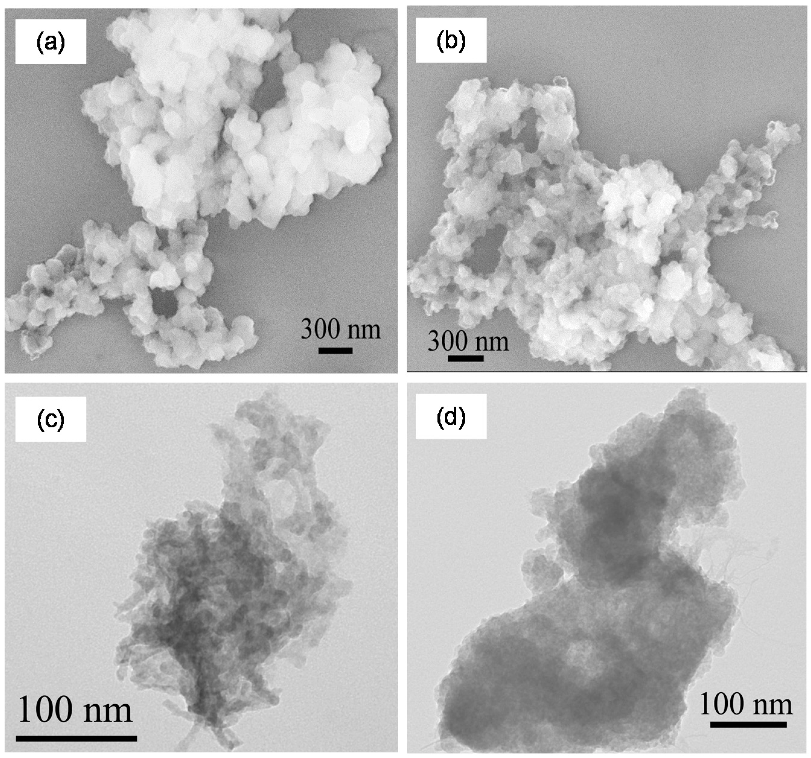 Ijms 16 07535 g003 1024