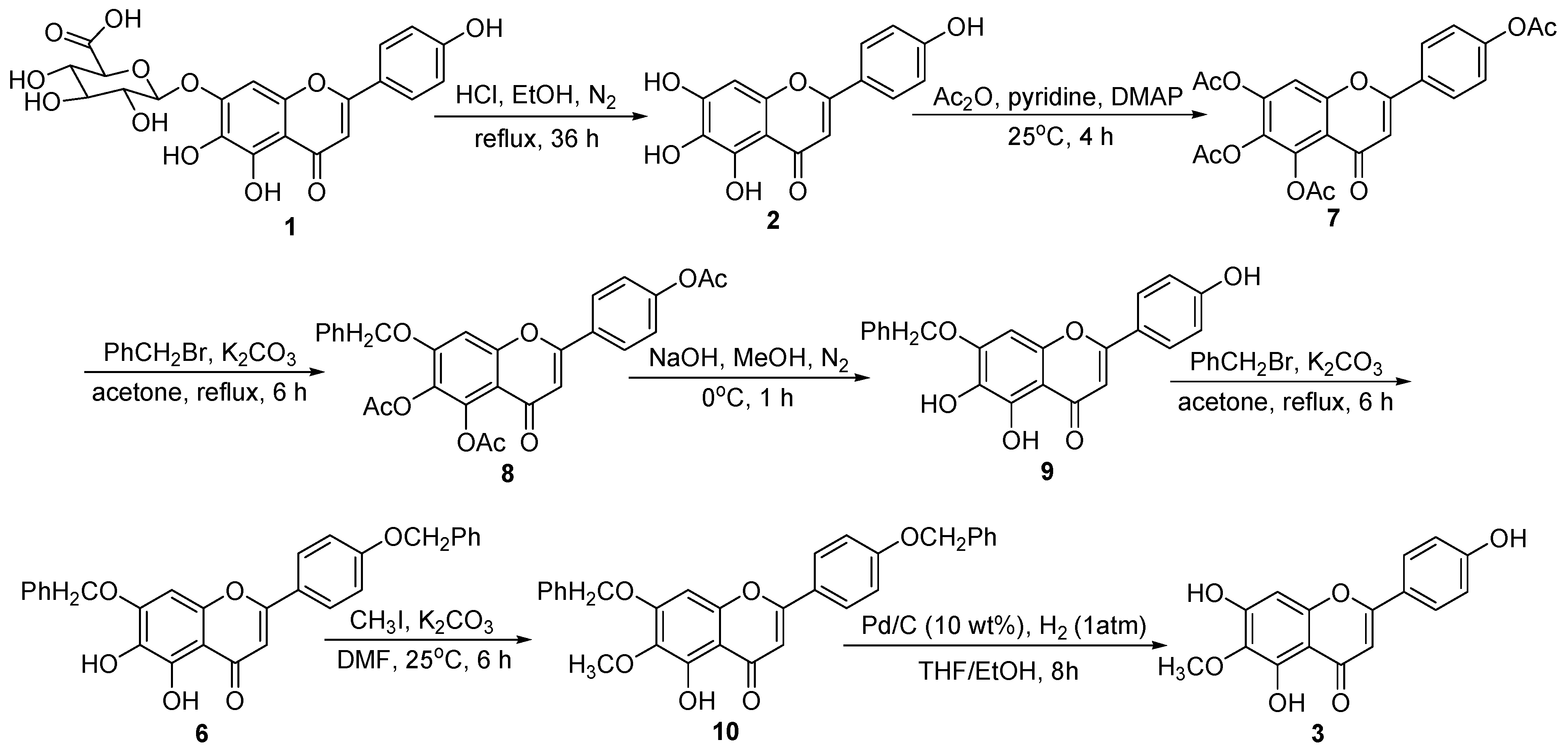 Ijms 16 07587 g003 1024