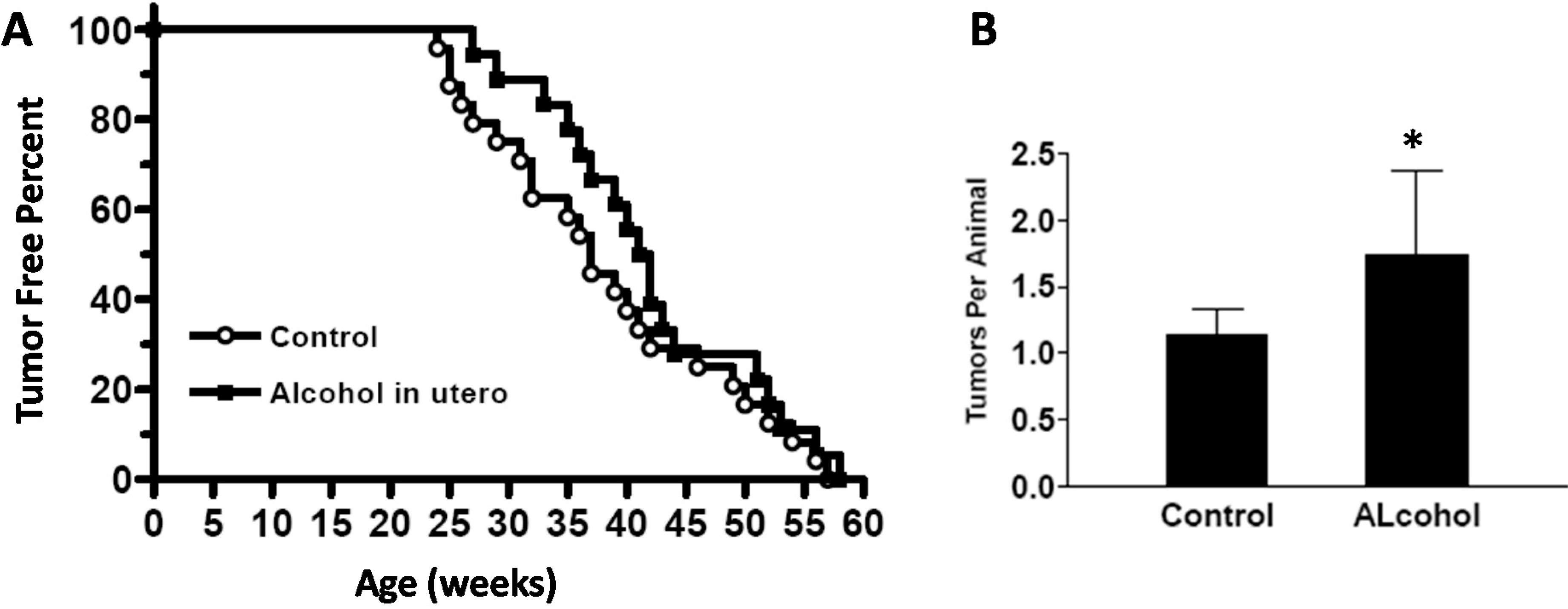 Ijms 16 07655 g007 1024