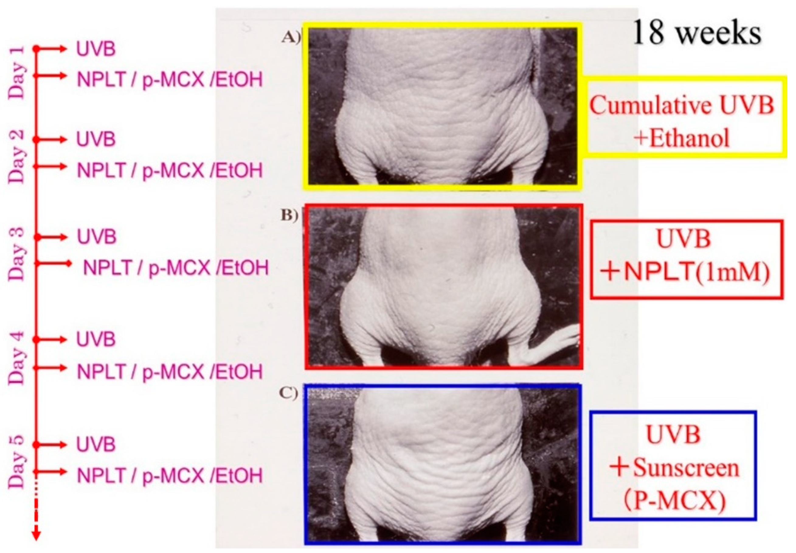 Ijms 16 07753 g009