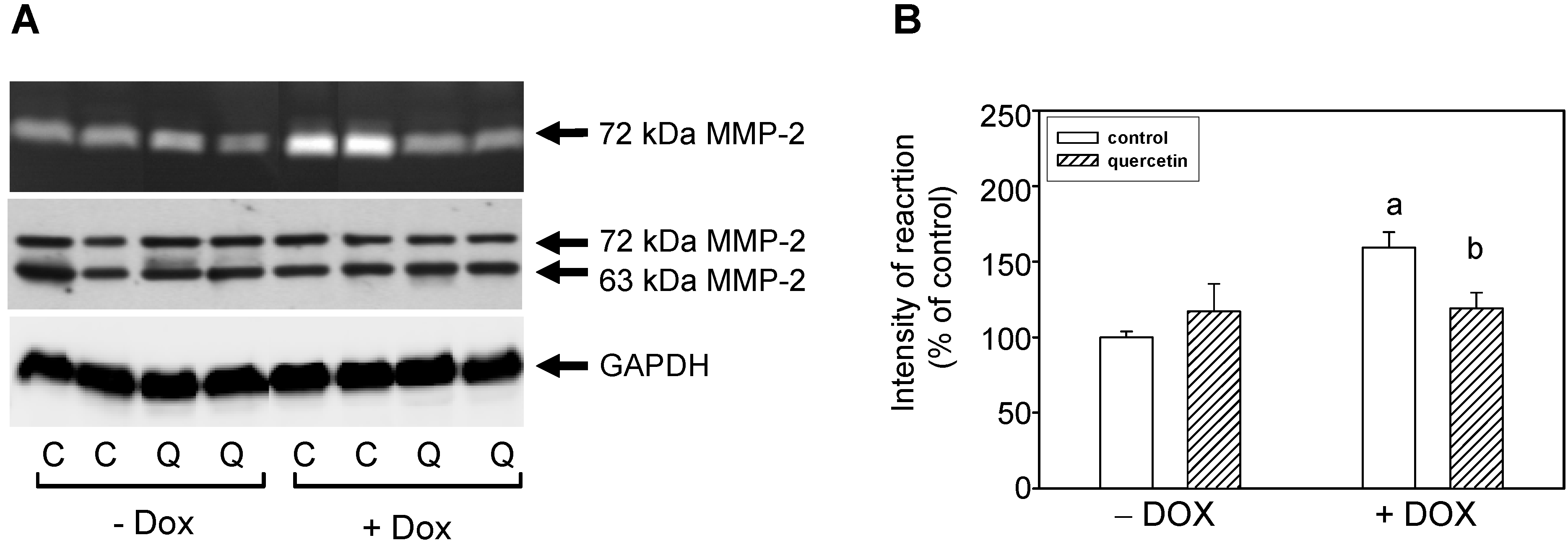 Ijms 16 08168 g002 1024