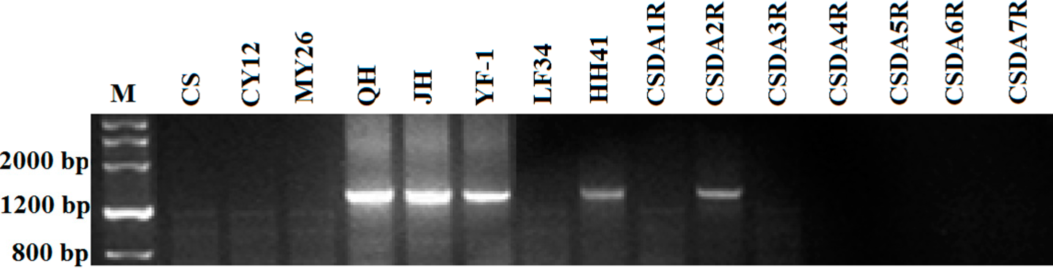 Ijms 16 08324 g002 1024