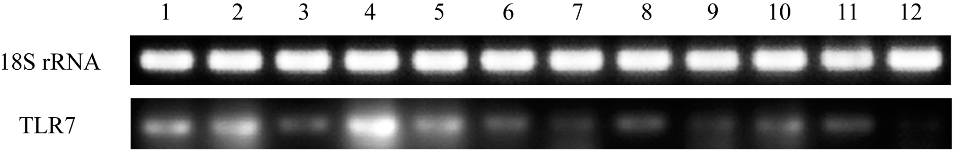 Ijms 16 08364 g004