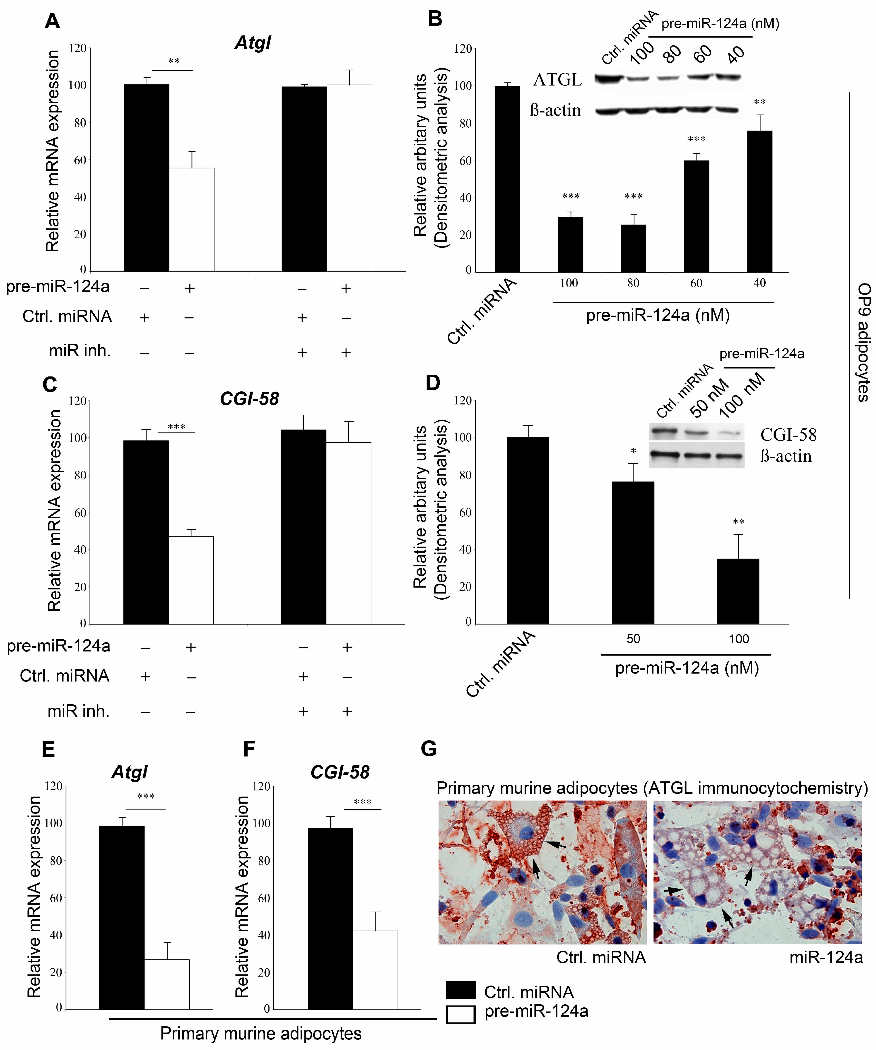 Ijms 16 08555 g001 1024