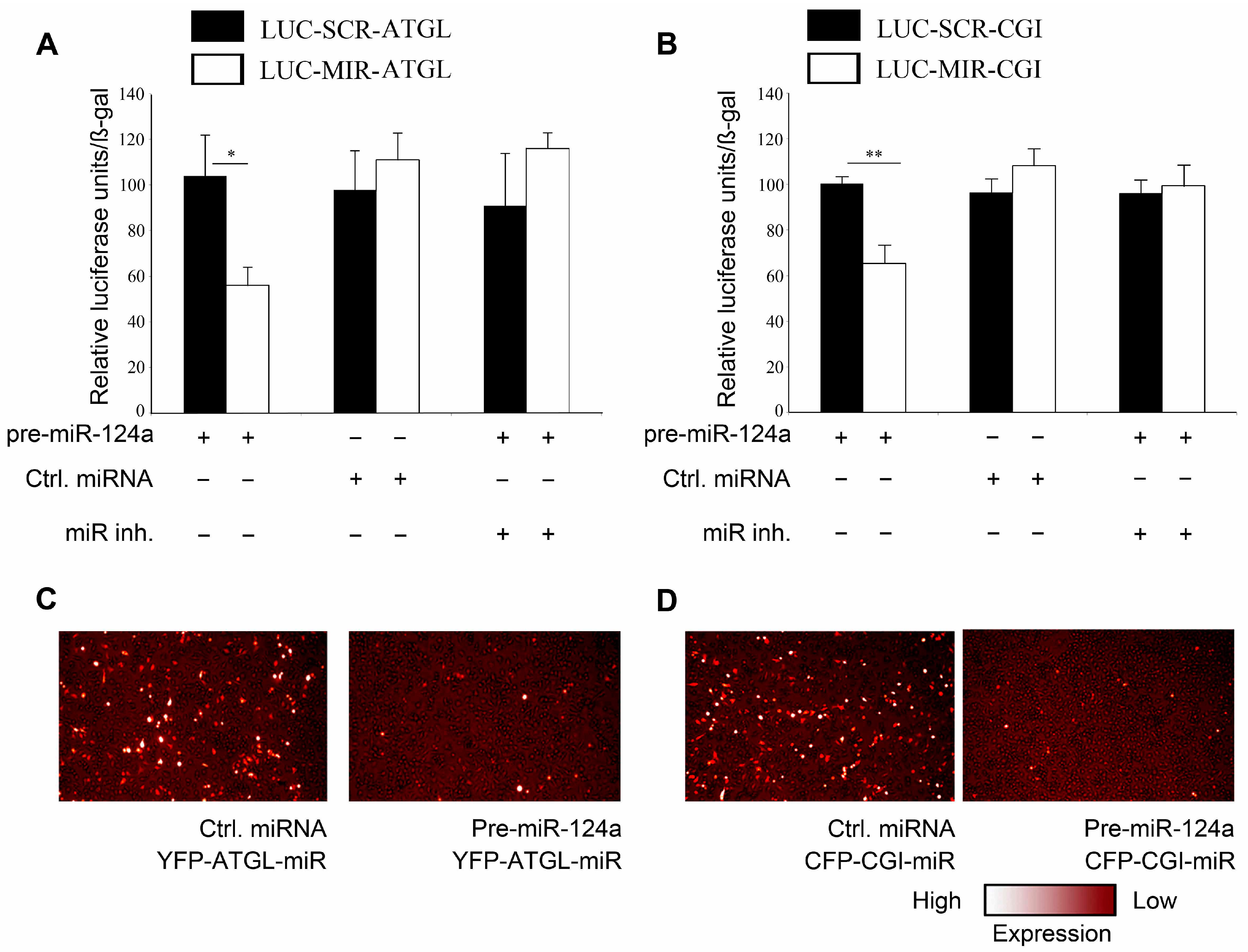 Ijms 16 08555 g002 1024
