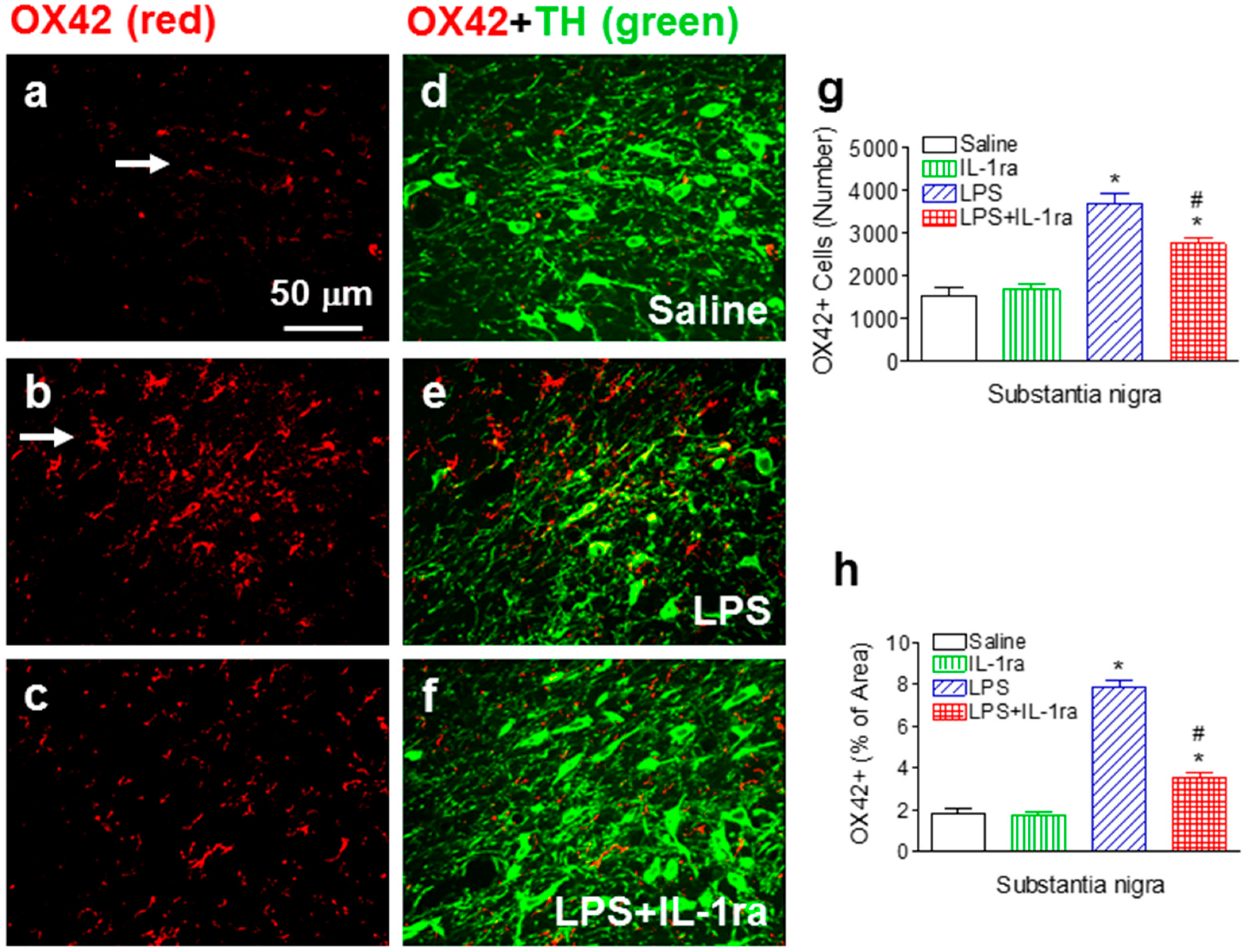 Ijms 16 08635 g004 1024