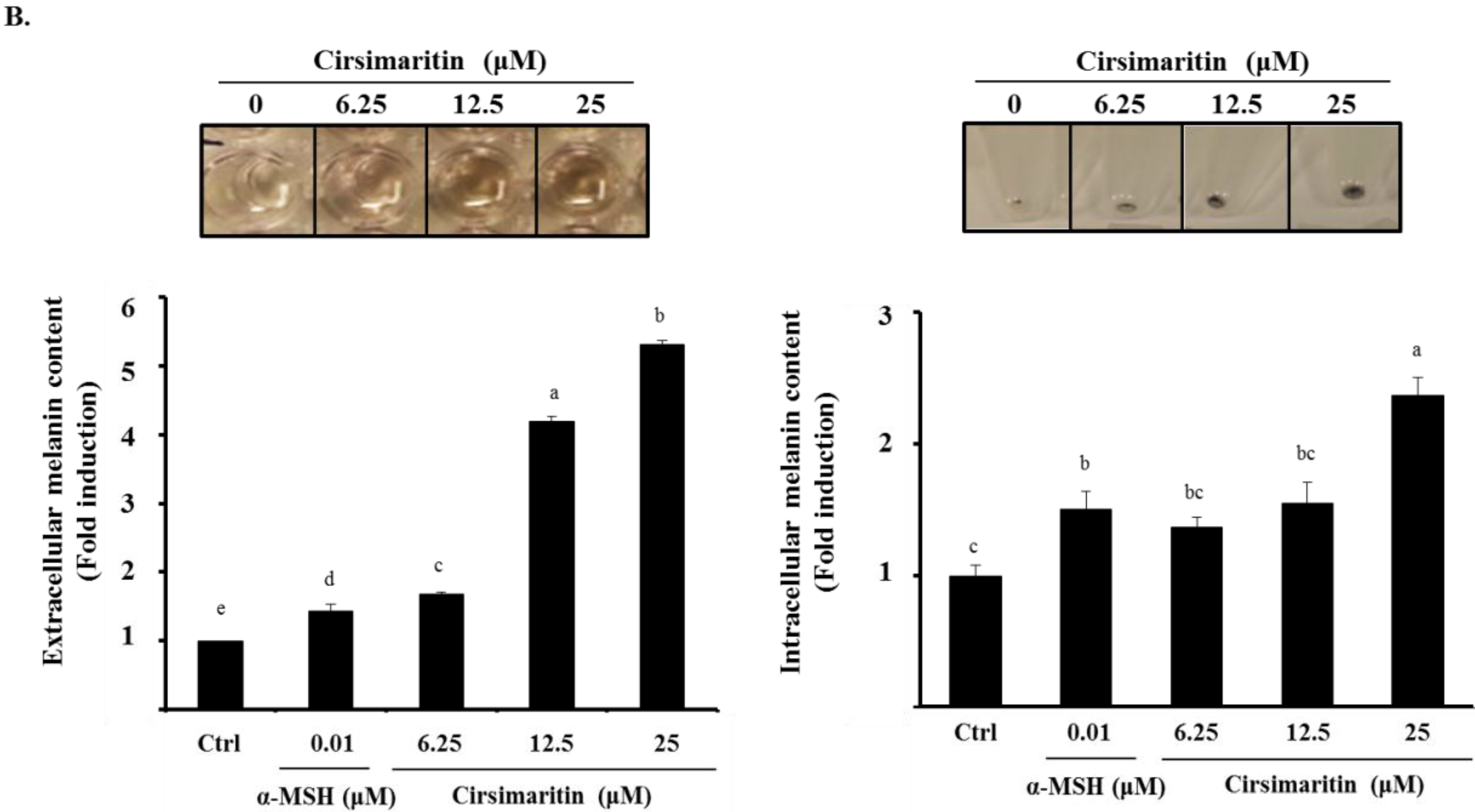 Ijms 16 08772 g002b 1024